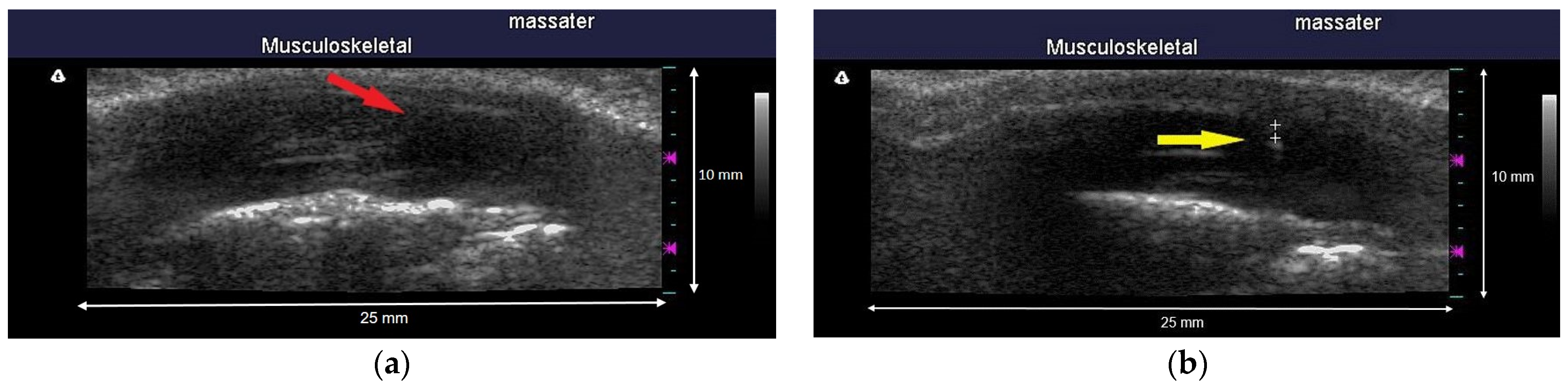 Sensors 24 00718 g002