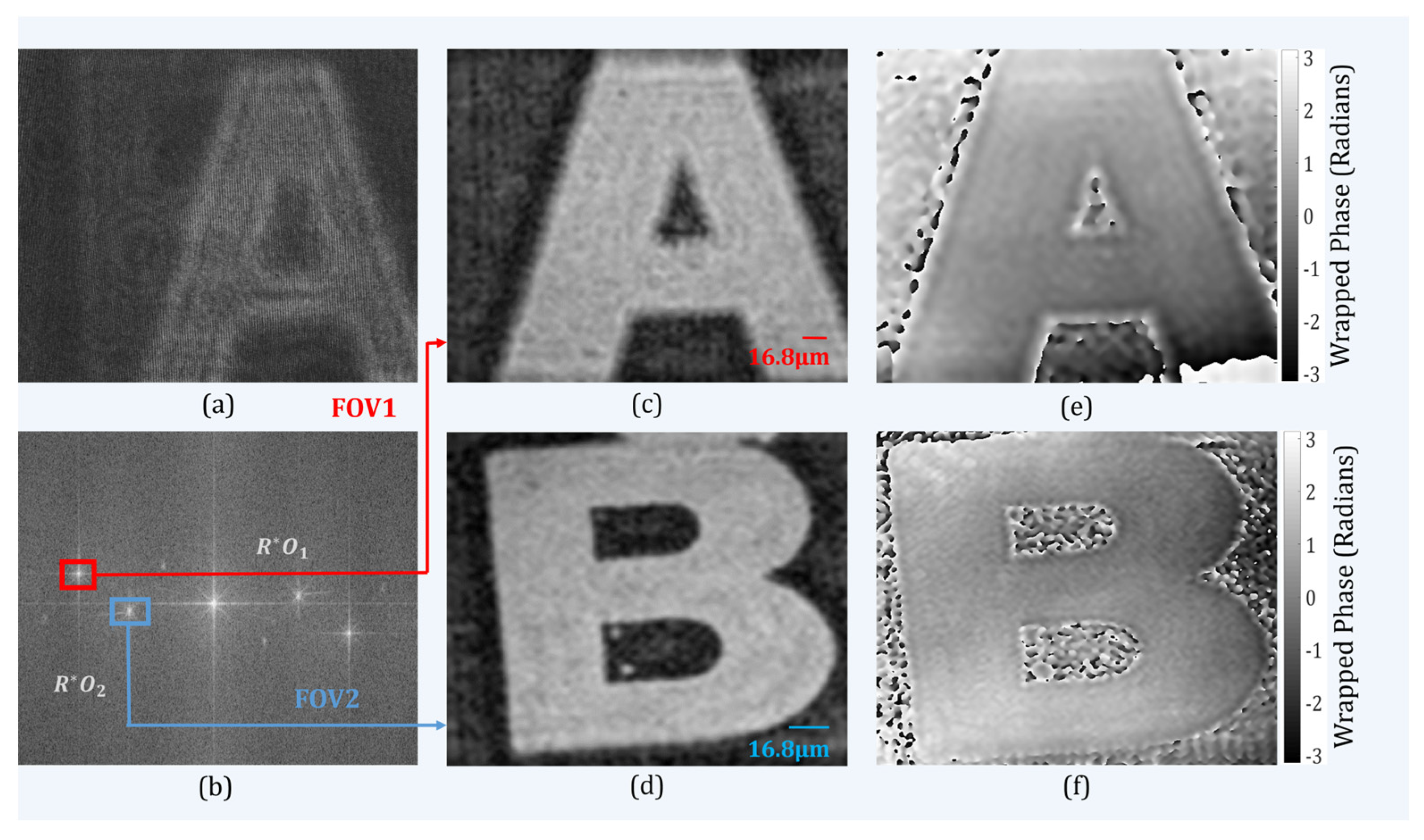 Sensors 24 00731 g003