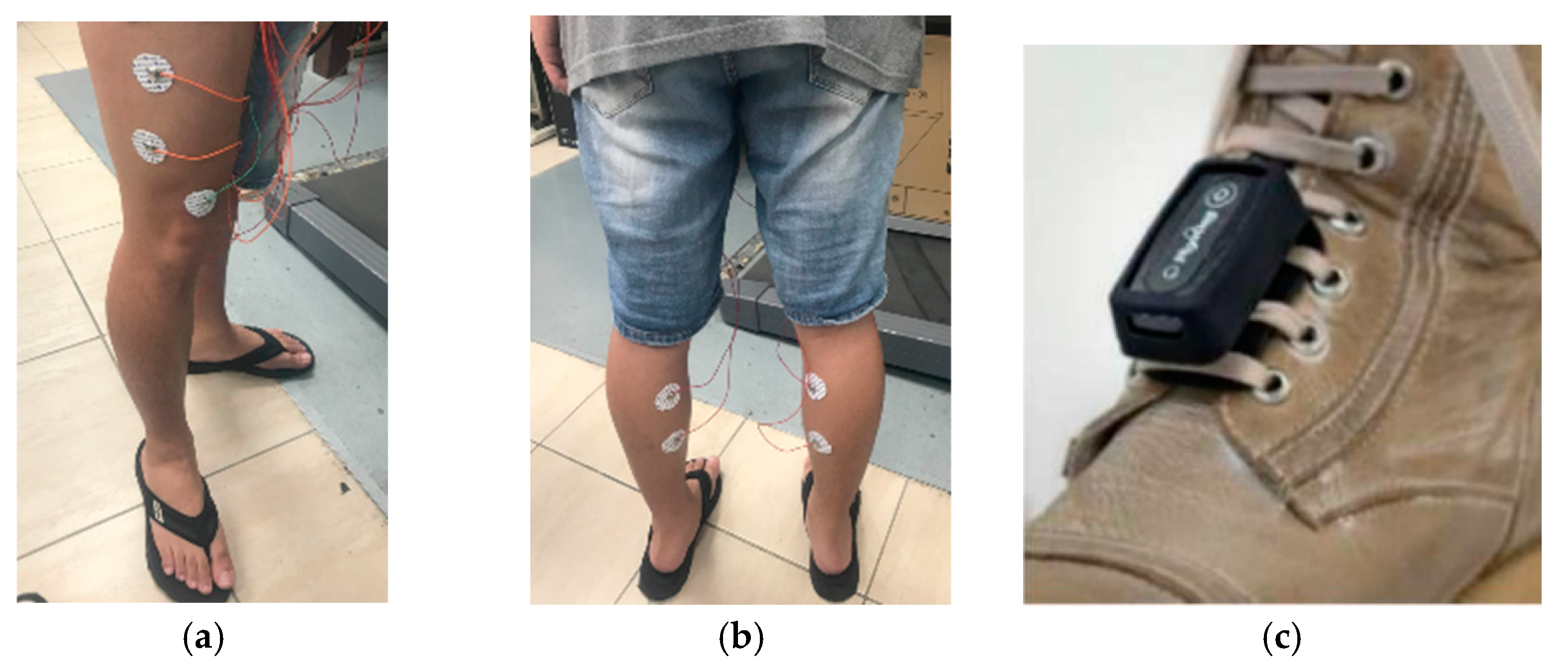 Sensors 24 00734 g007