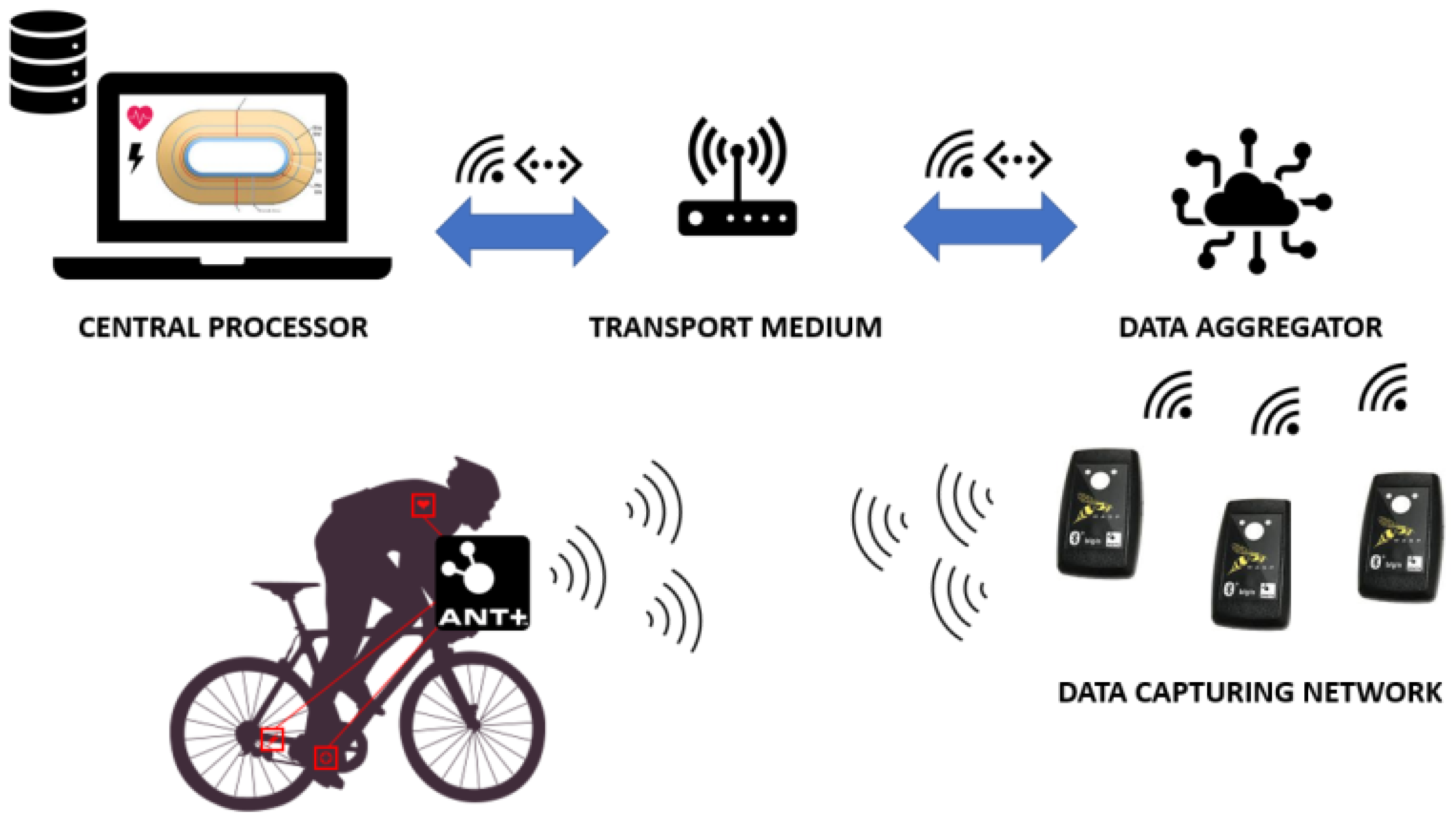Sensors 24 00736 g003
