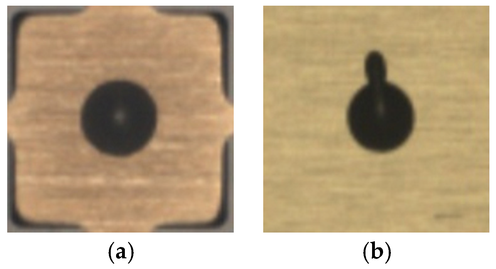 Sensors 24 00738 g003