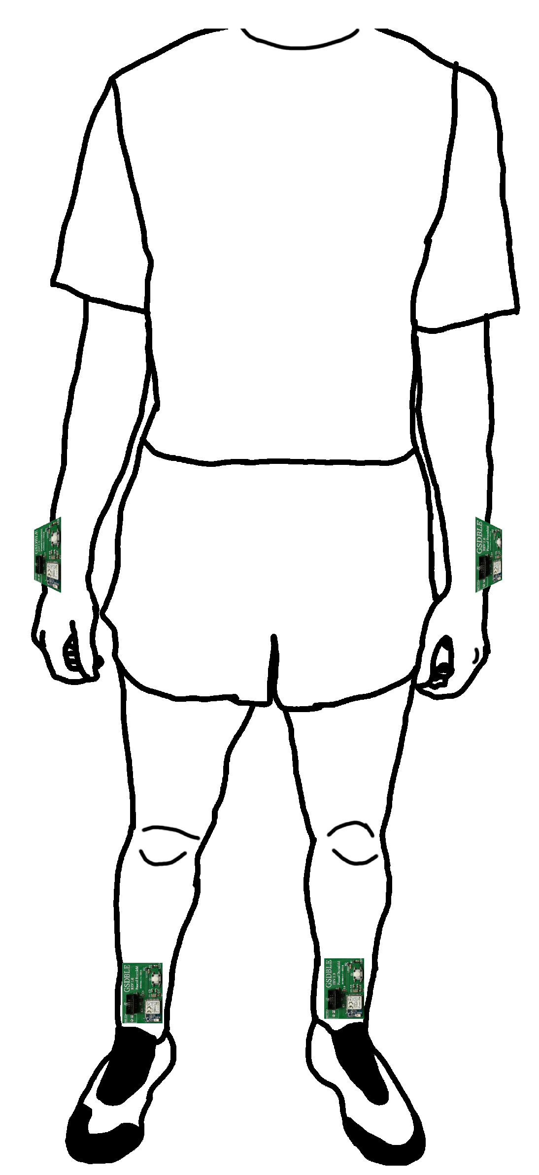 Sensors 24 00742 g001