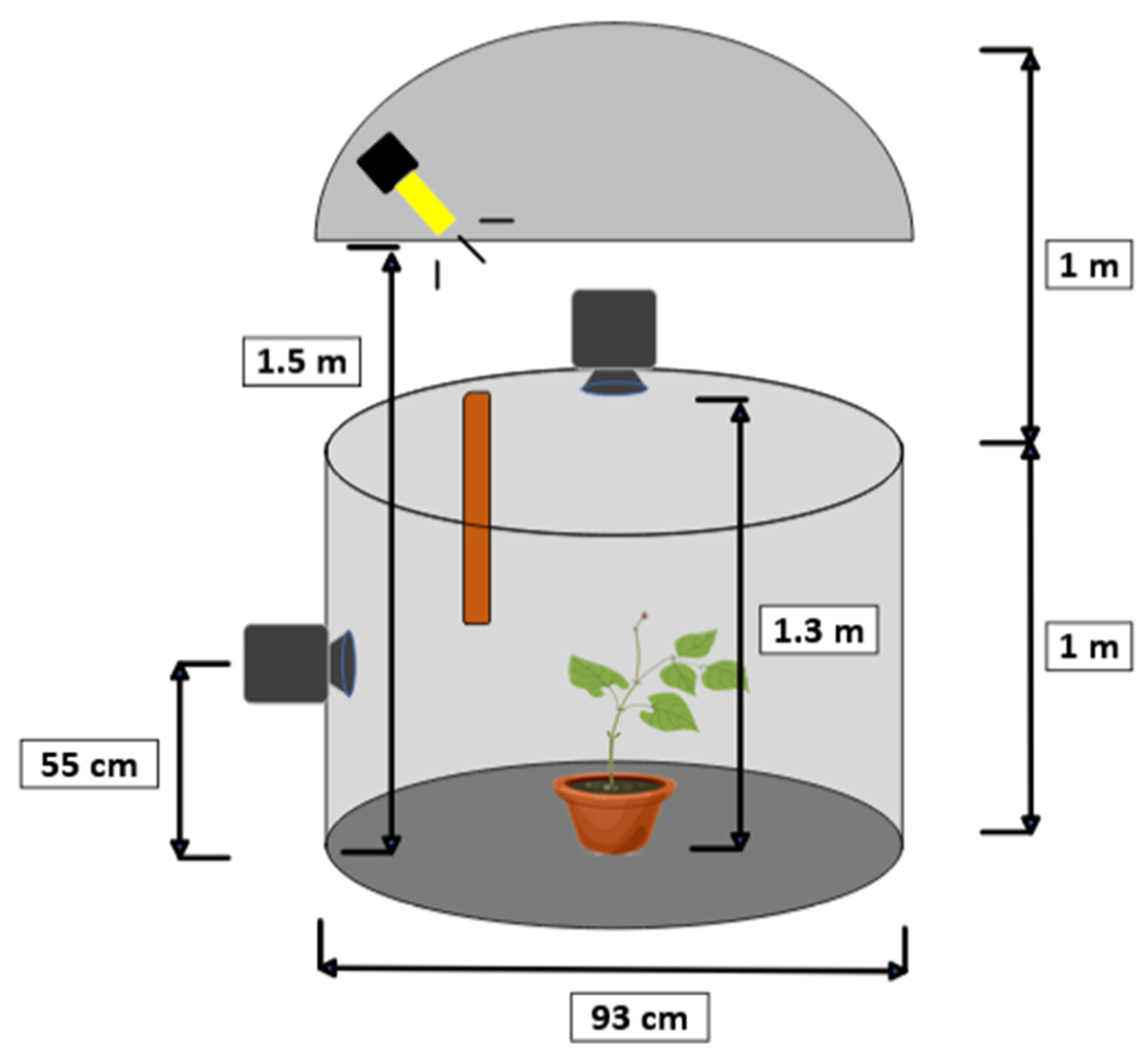 Sensors 24 00747 g003