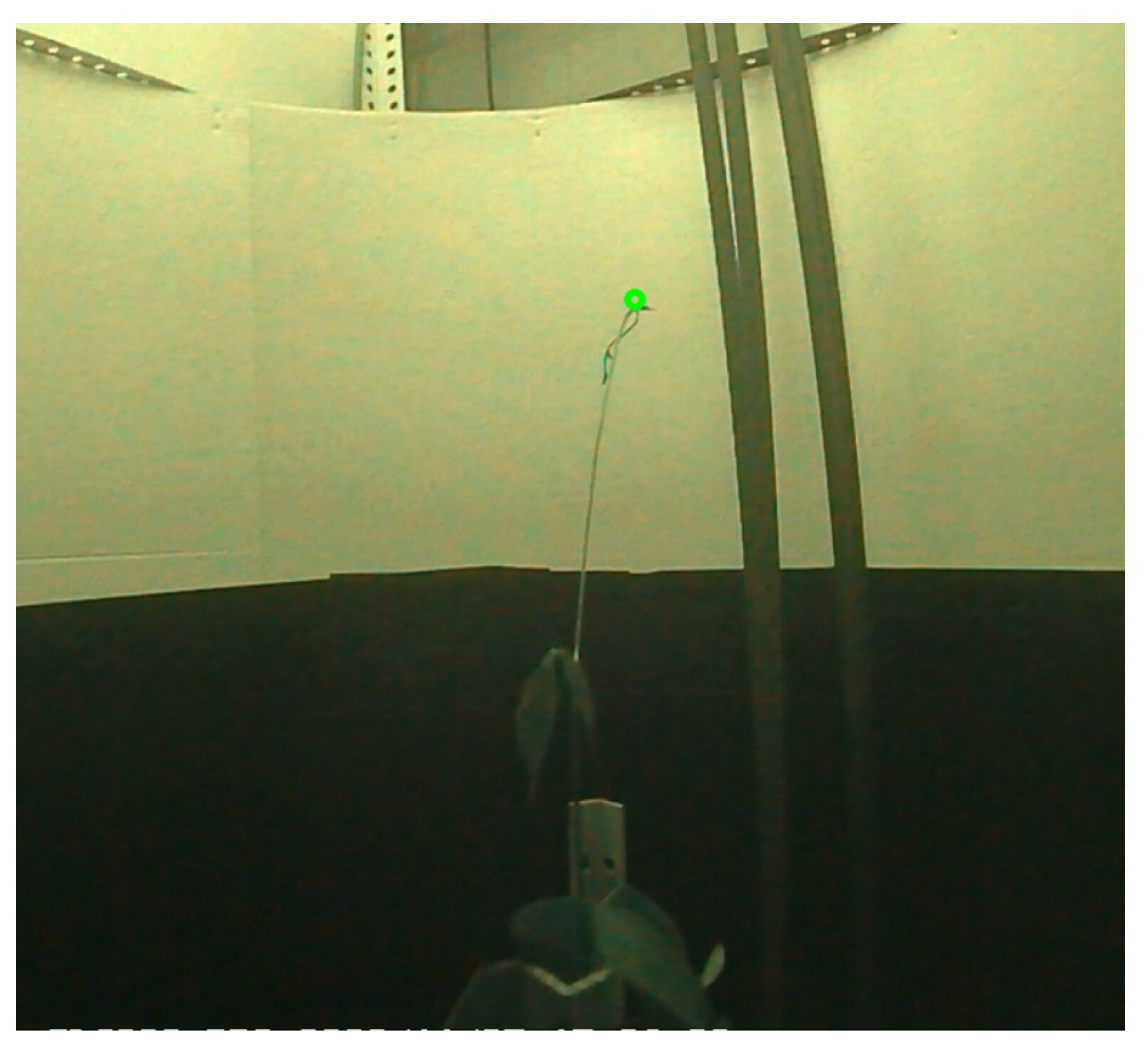 Sensors 24 00747 g011