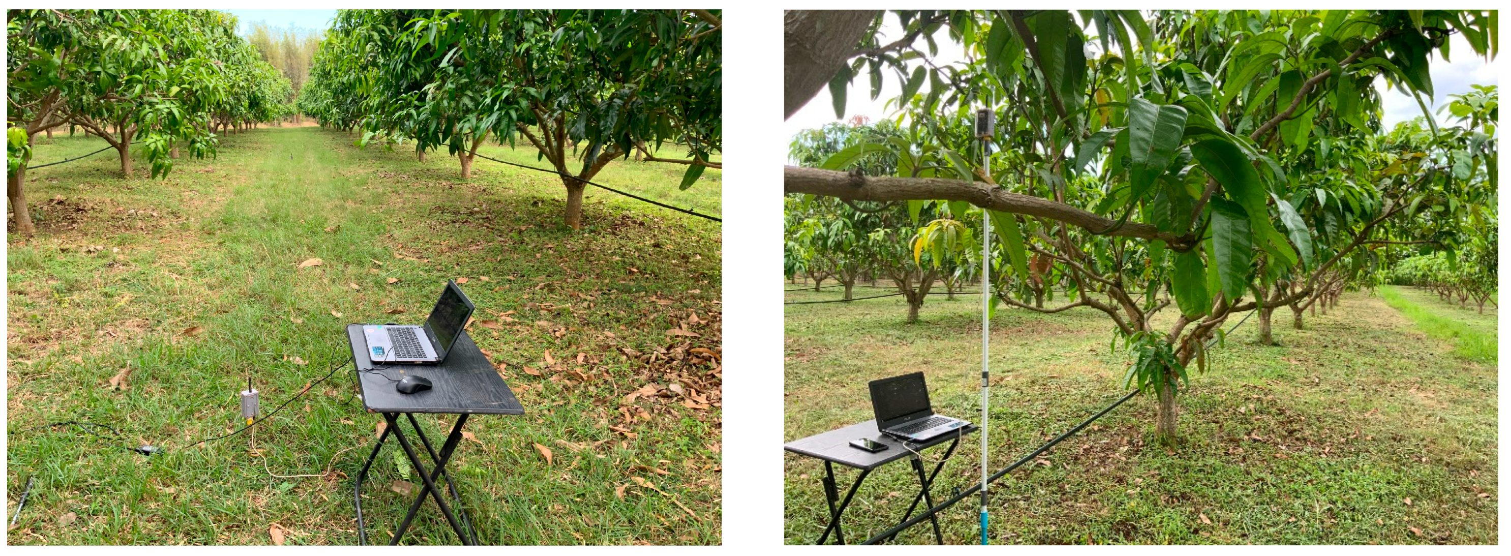 Sensors 24 00750 g002