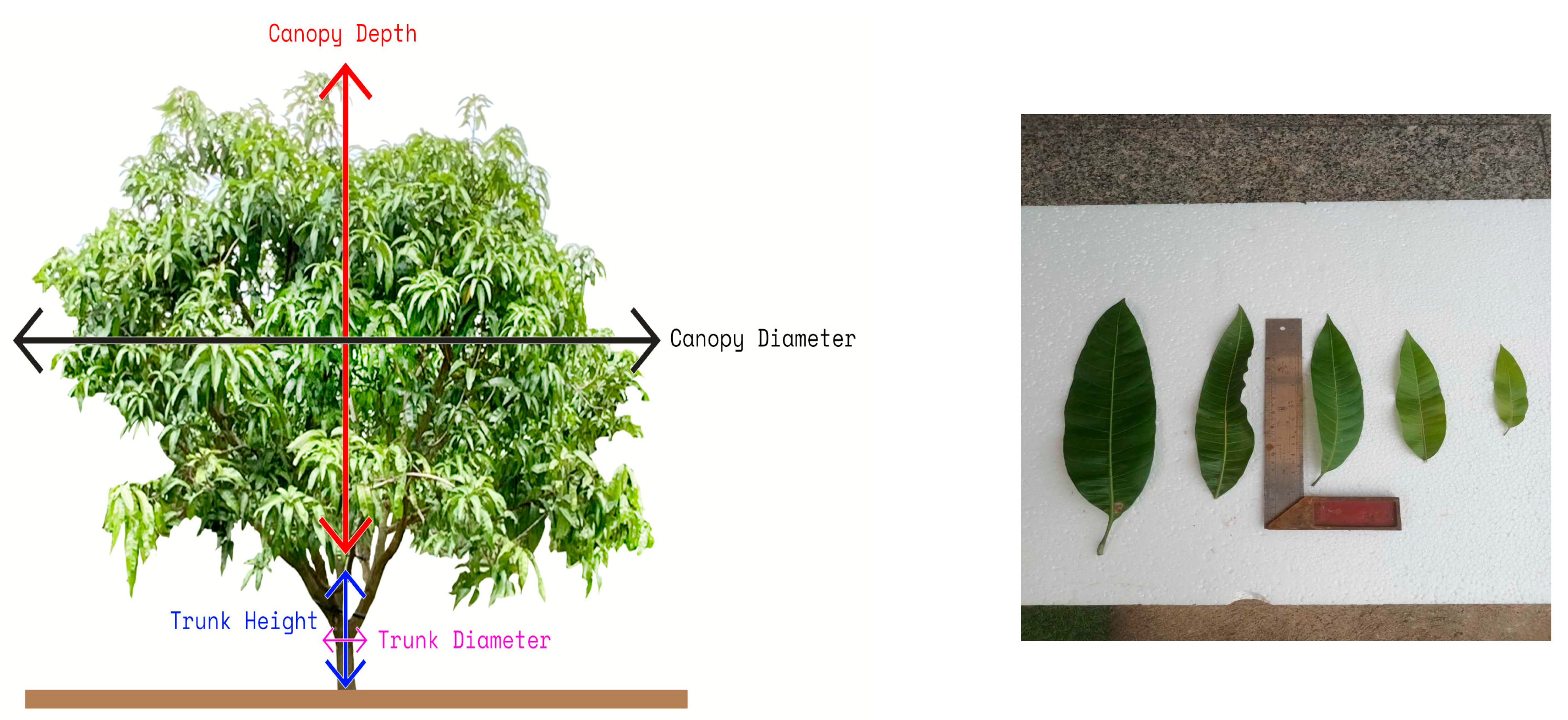 Sensors 24 00750 g003