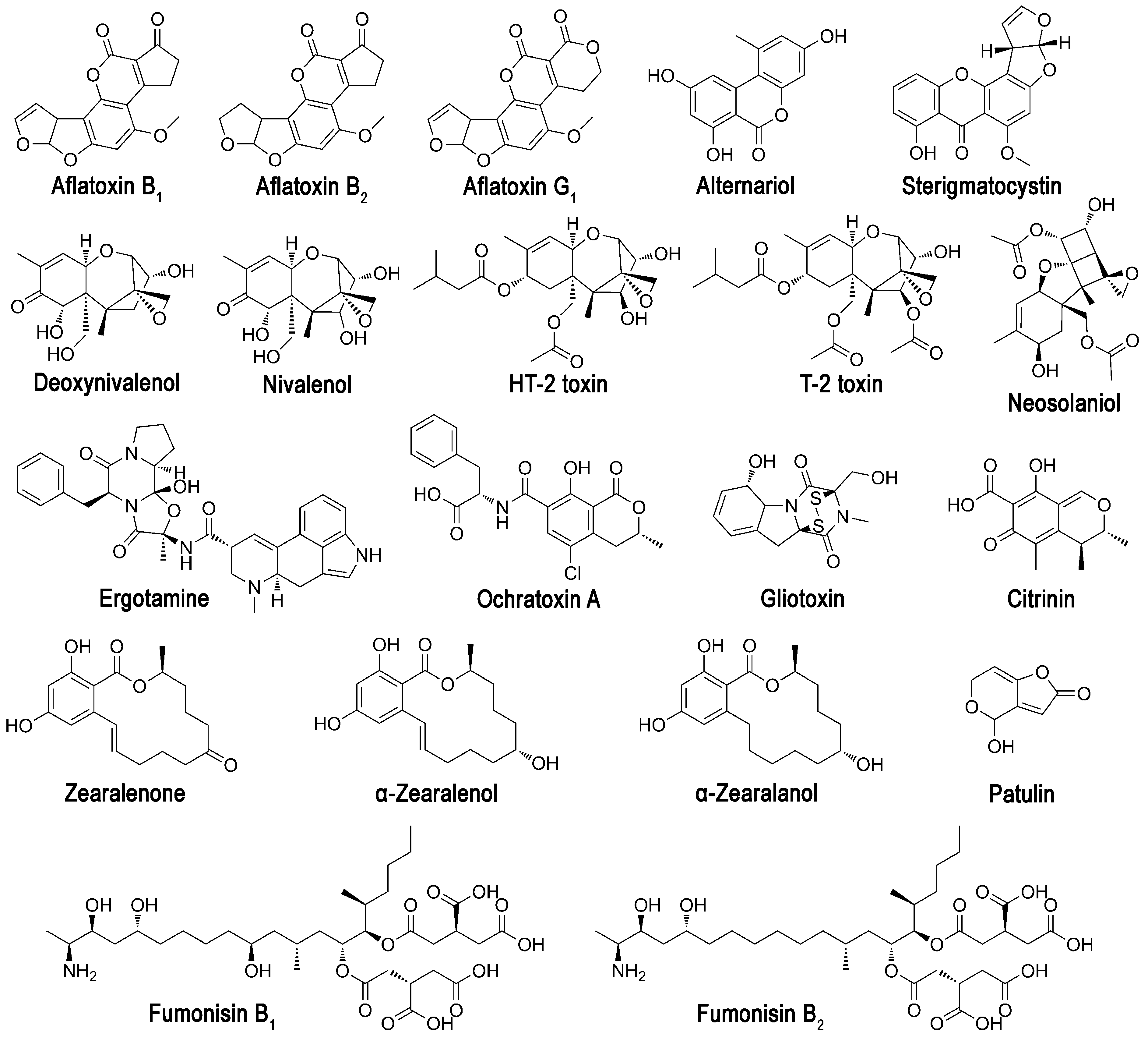 Sensors 24 00763 g001