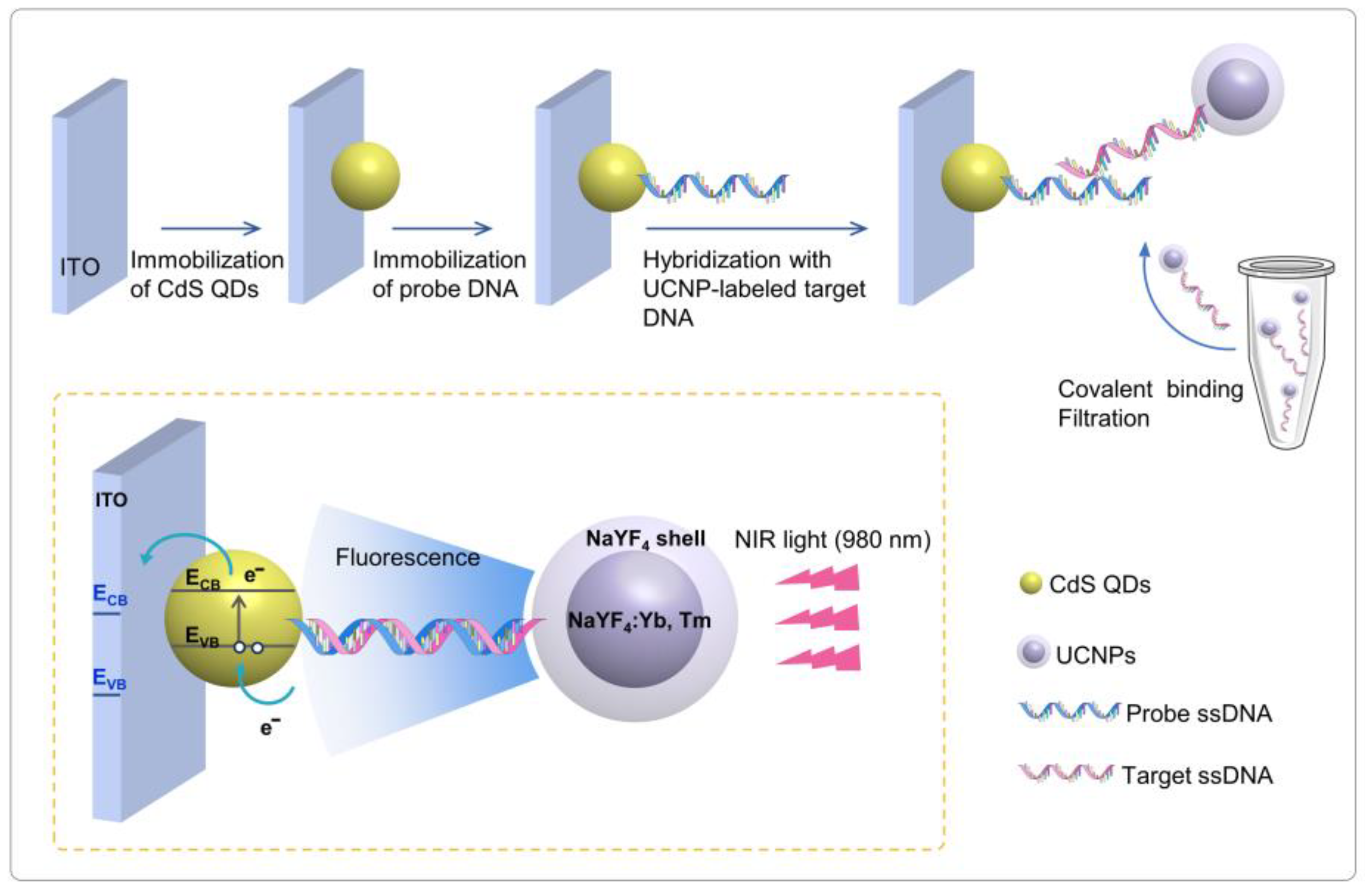Sensors 24 00773 g001