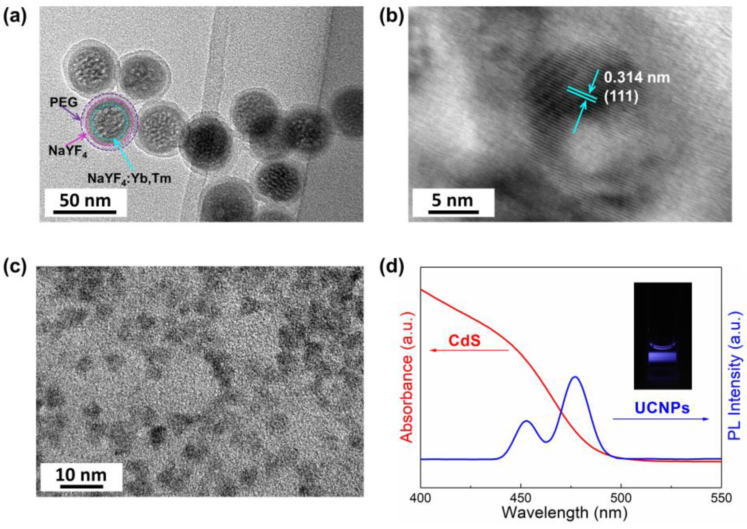 Sensors 24 00773 g002