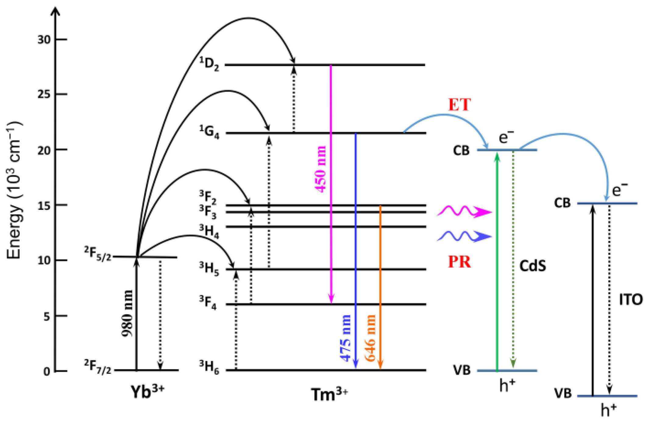 Sensors 24 00773 g005