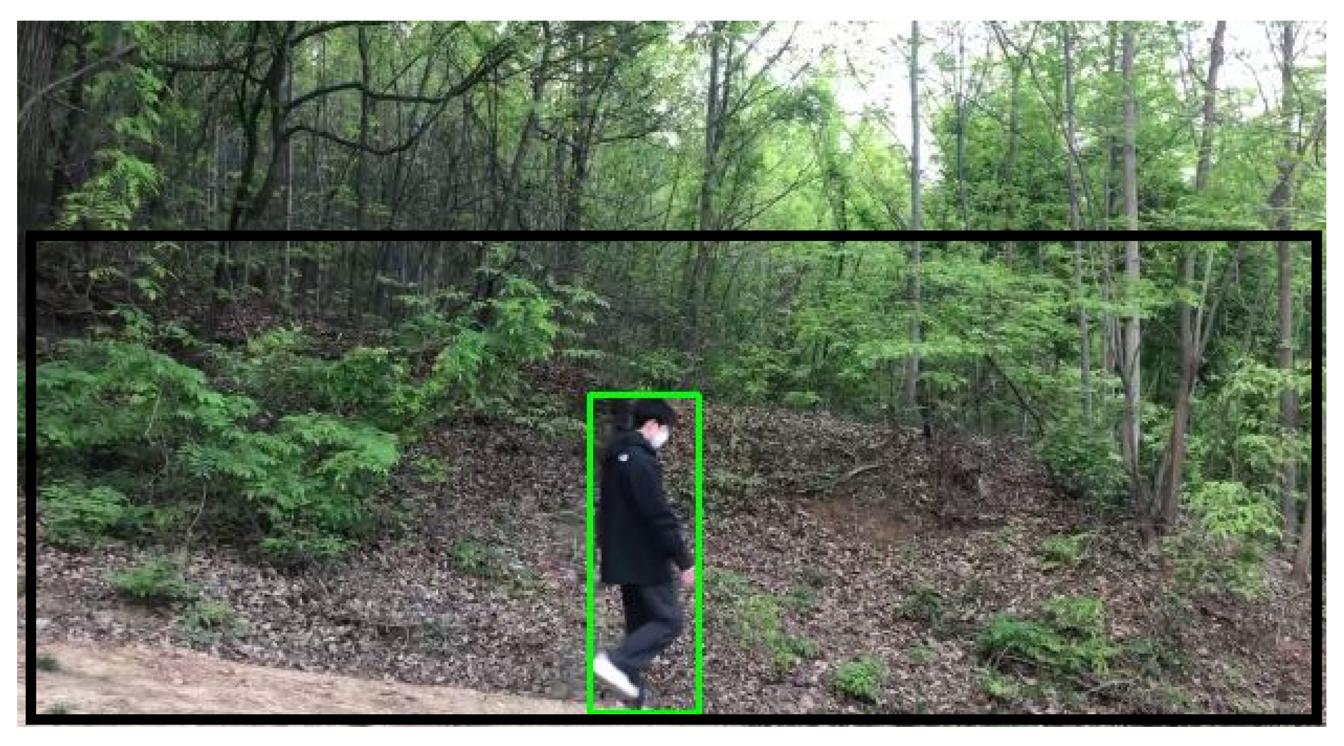 Sensors 24 00782 g002