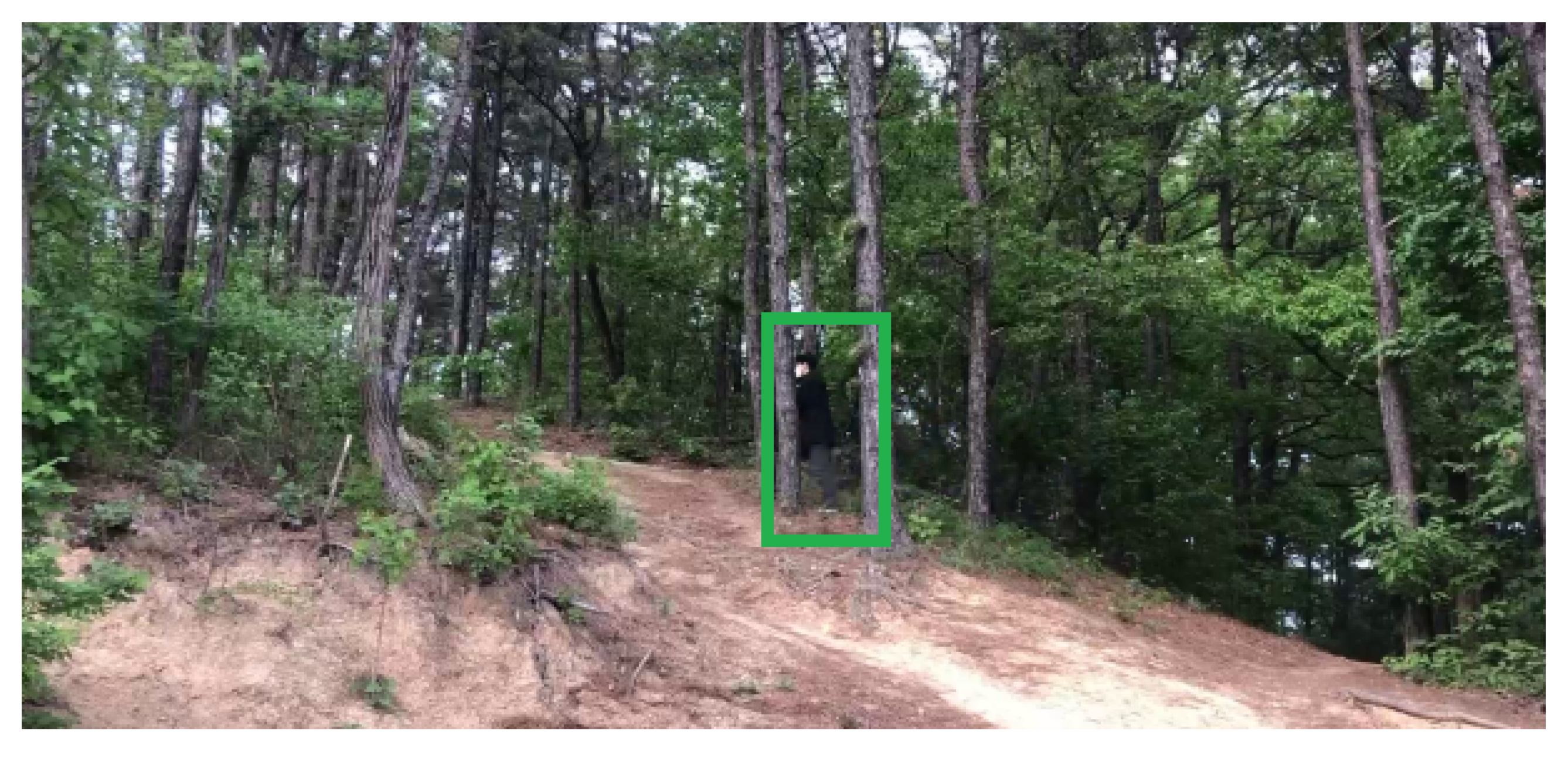 Sensors 24 00782 g005