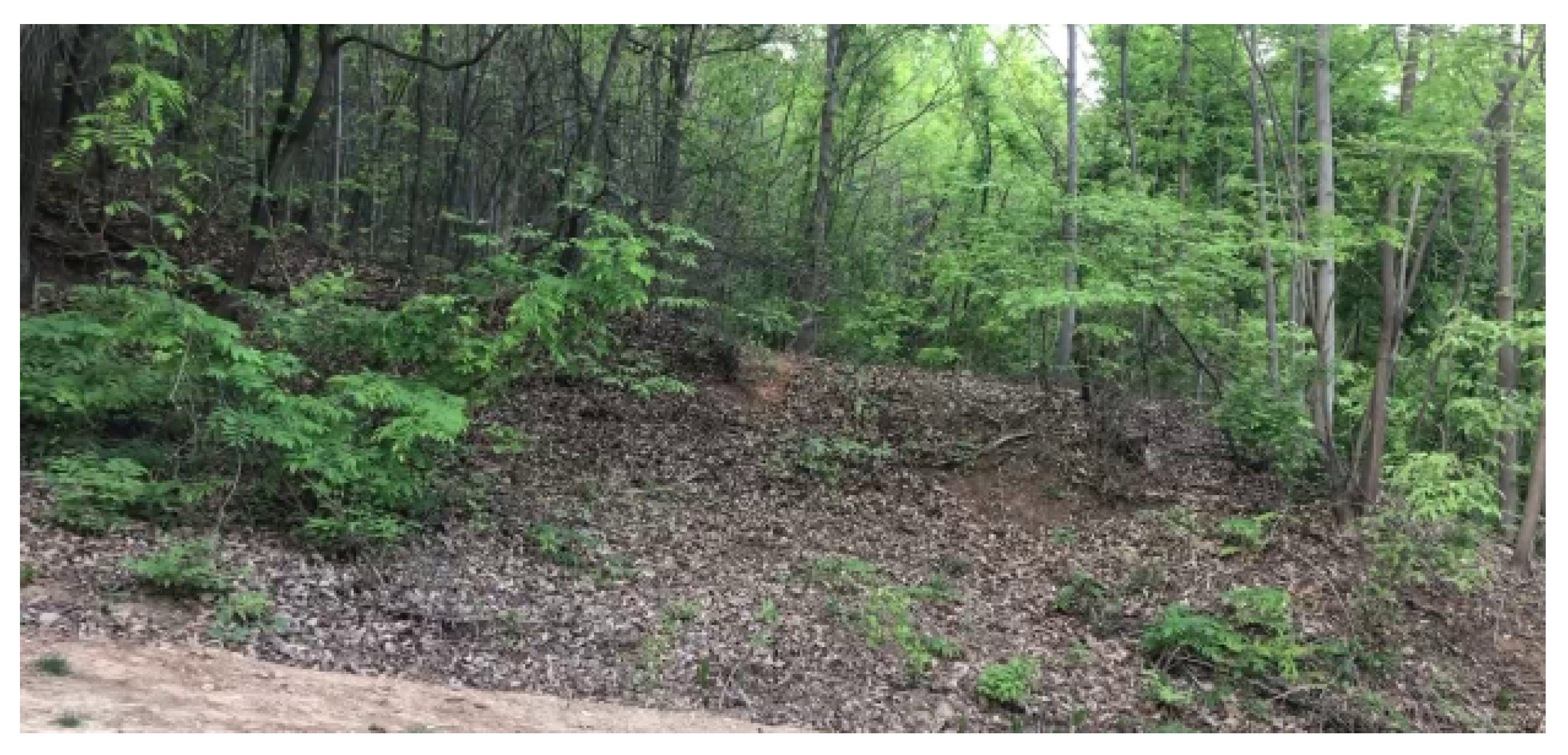 Sensors 24 00782 g007