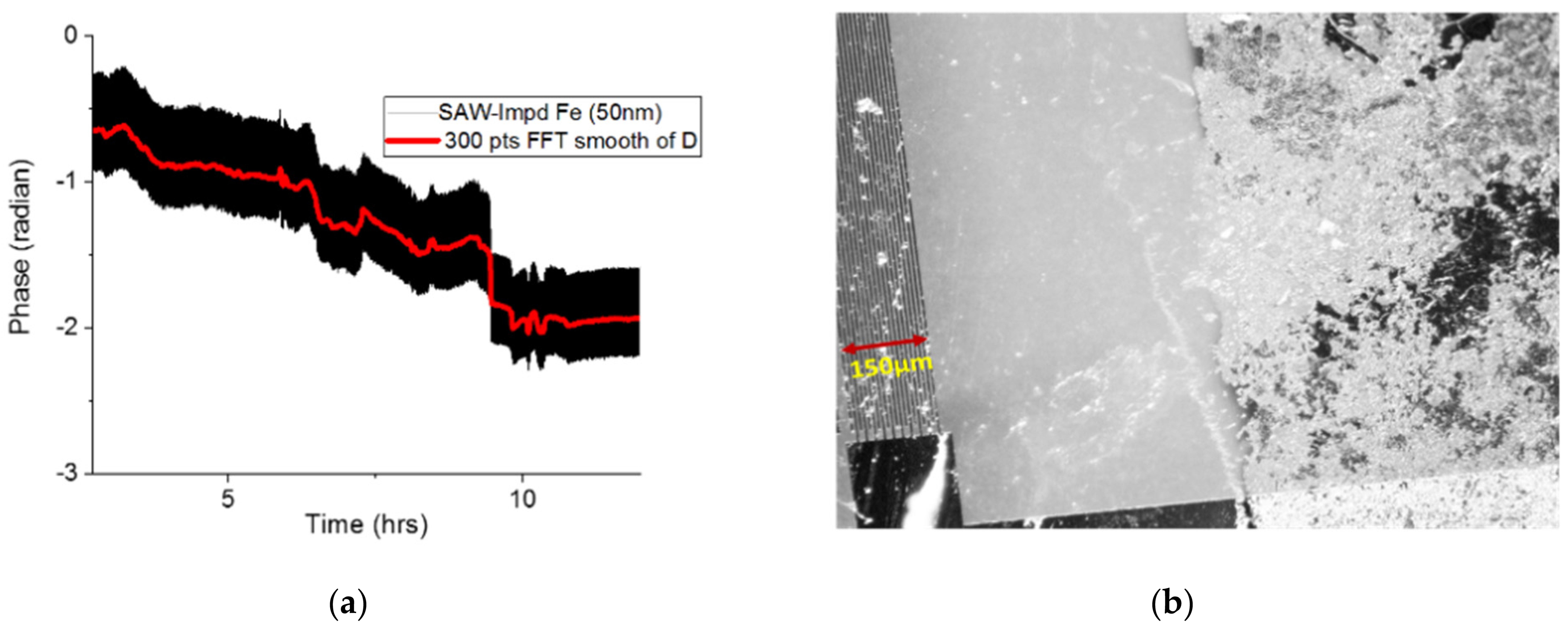 Sensors 24 00789 g007