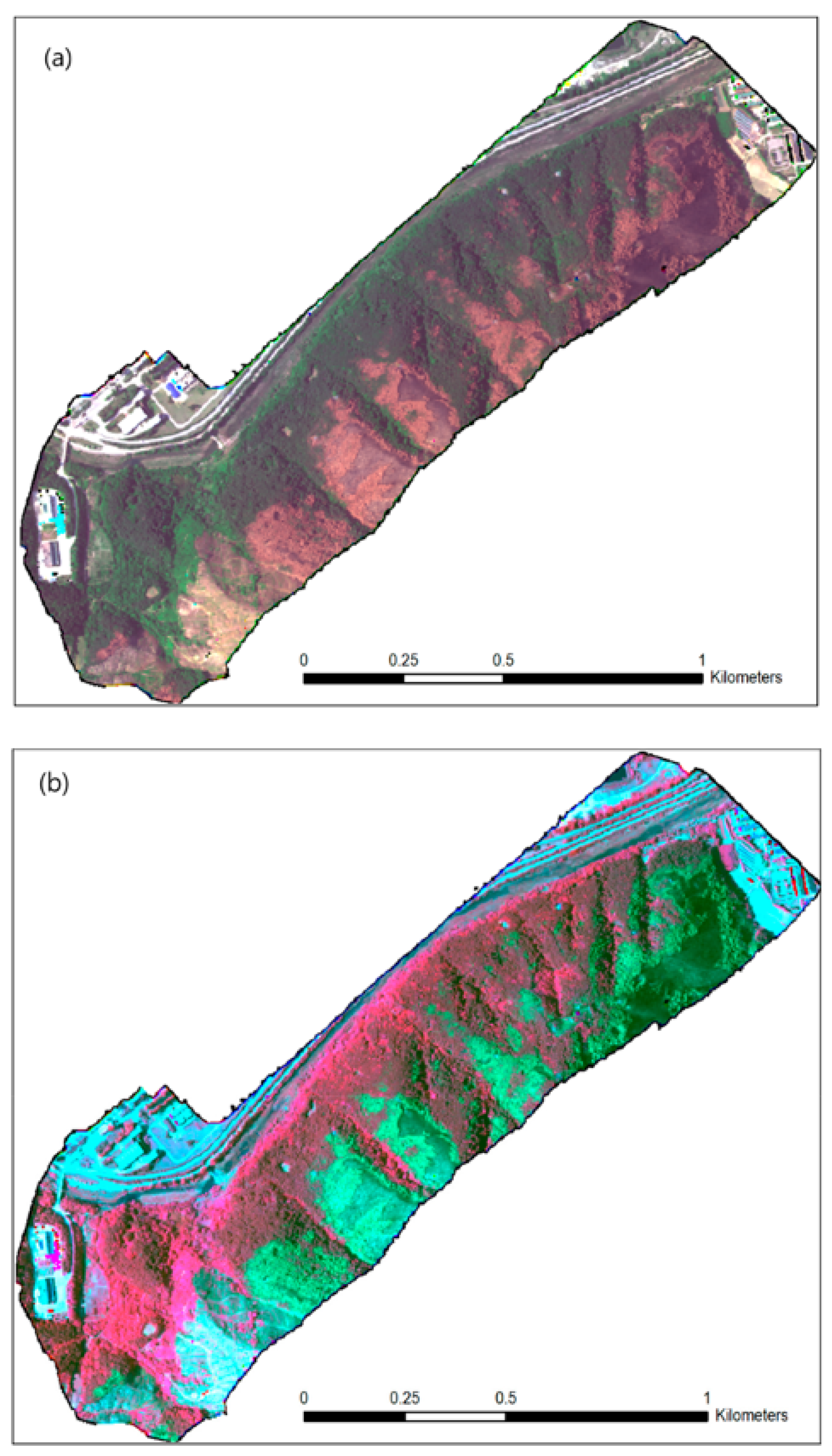Sensors 24 00798 g008