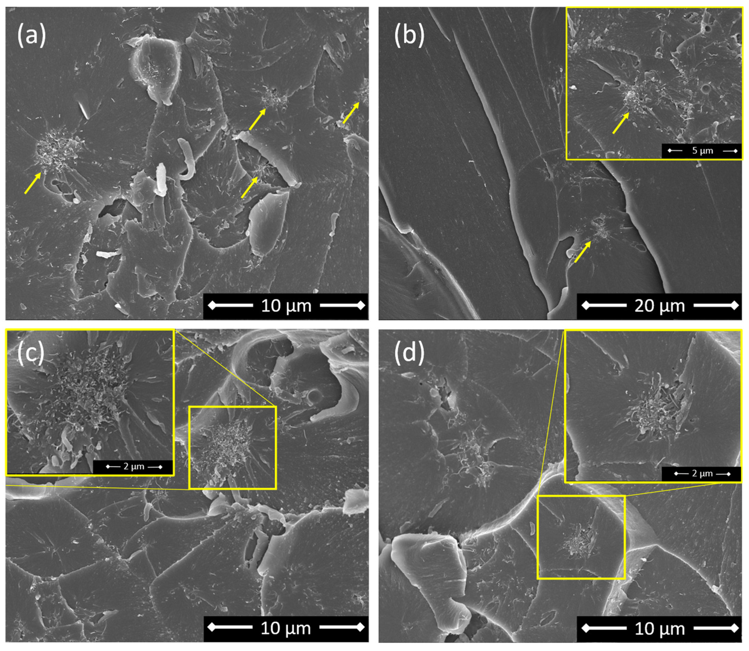 Sensors 24 00806 g004