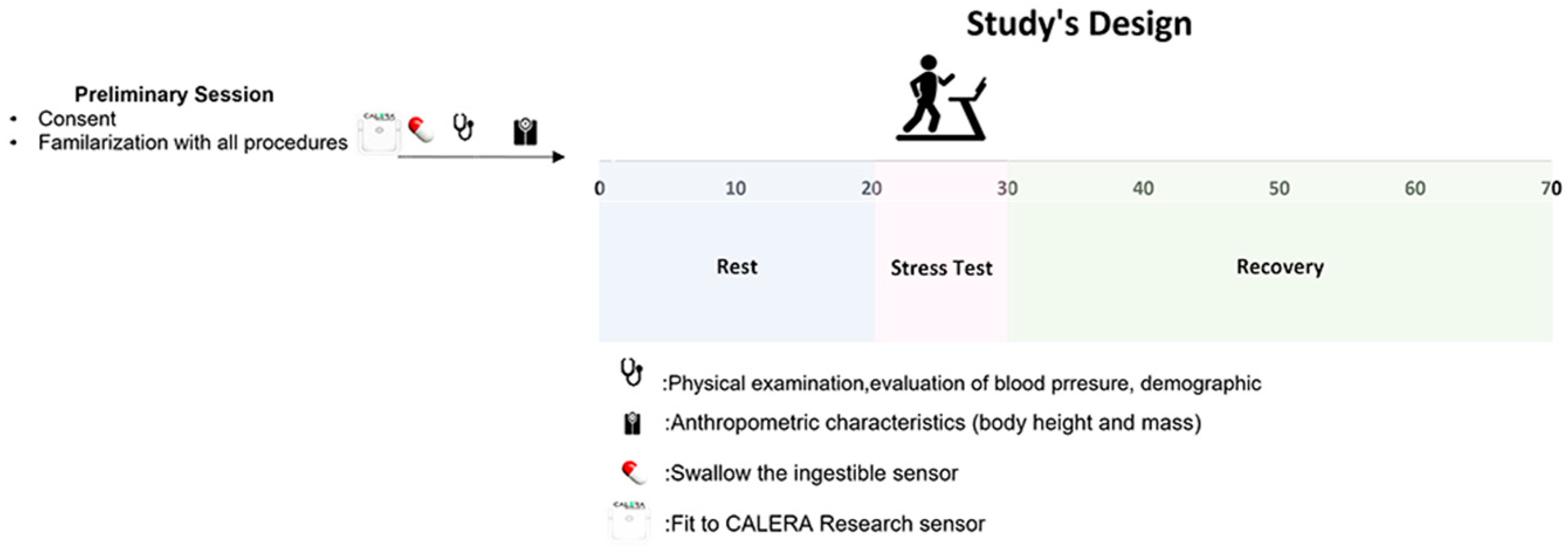 Sensors 24 00807 g001