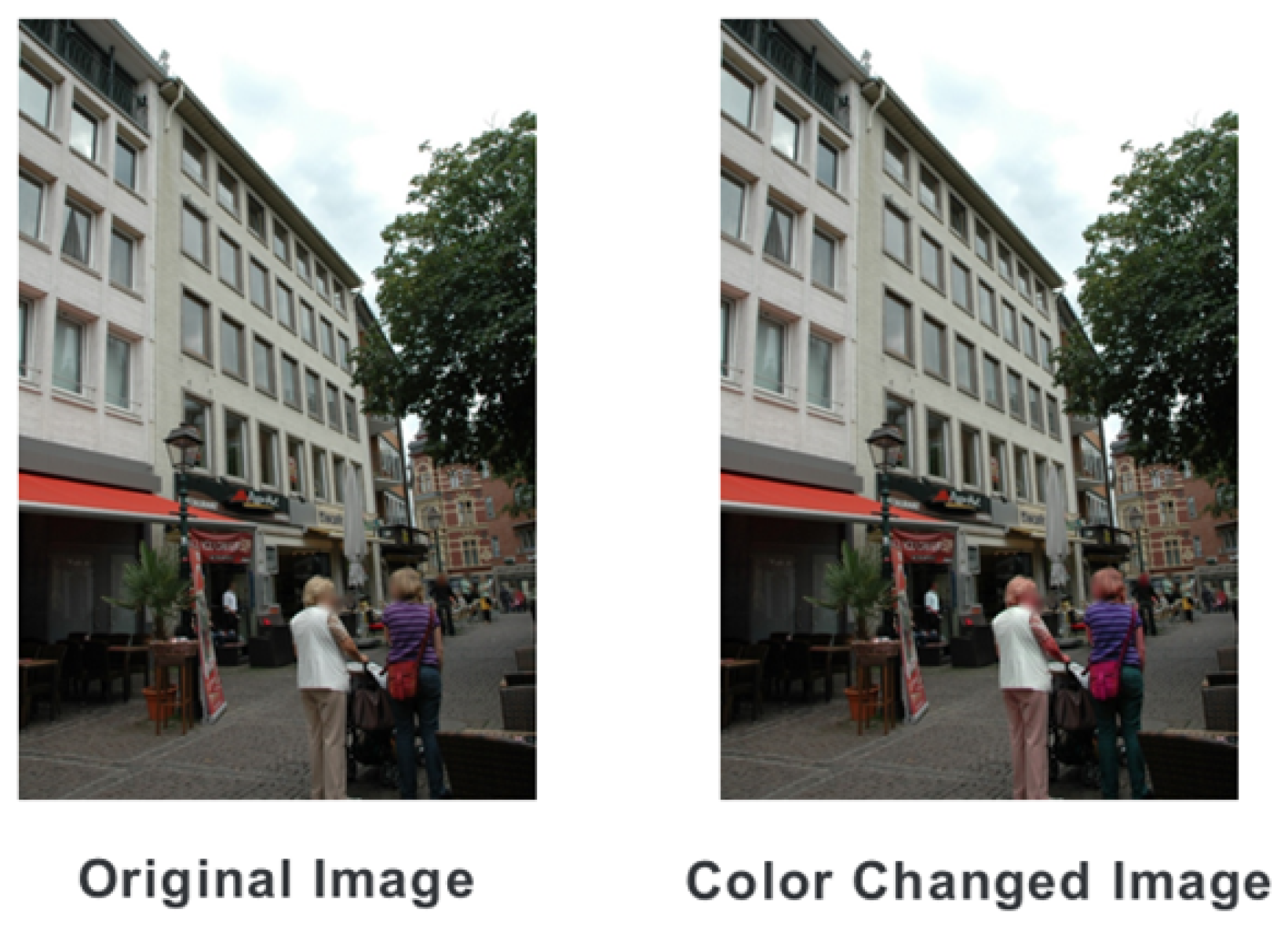 Sensors 24 00816 g004