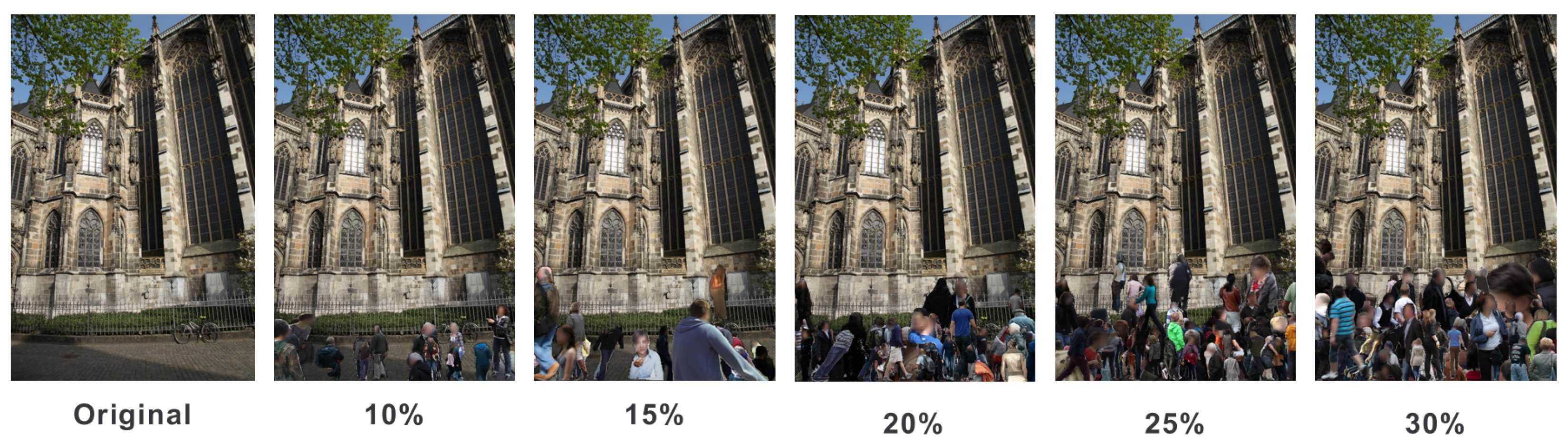 Sensors 24 00816 g006