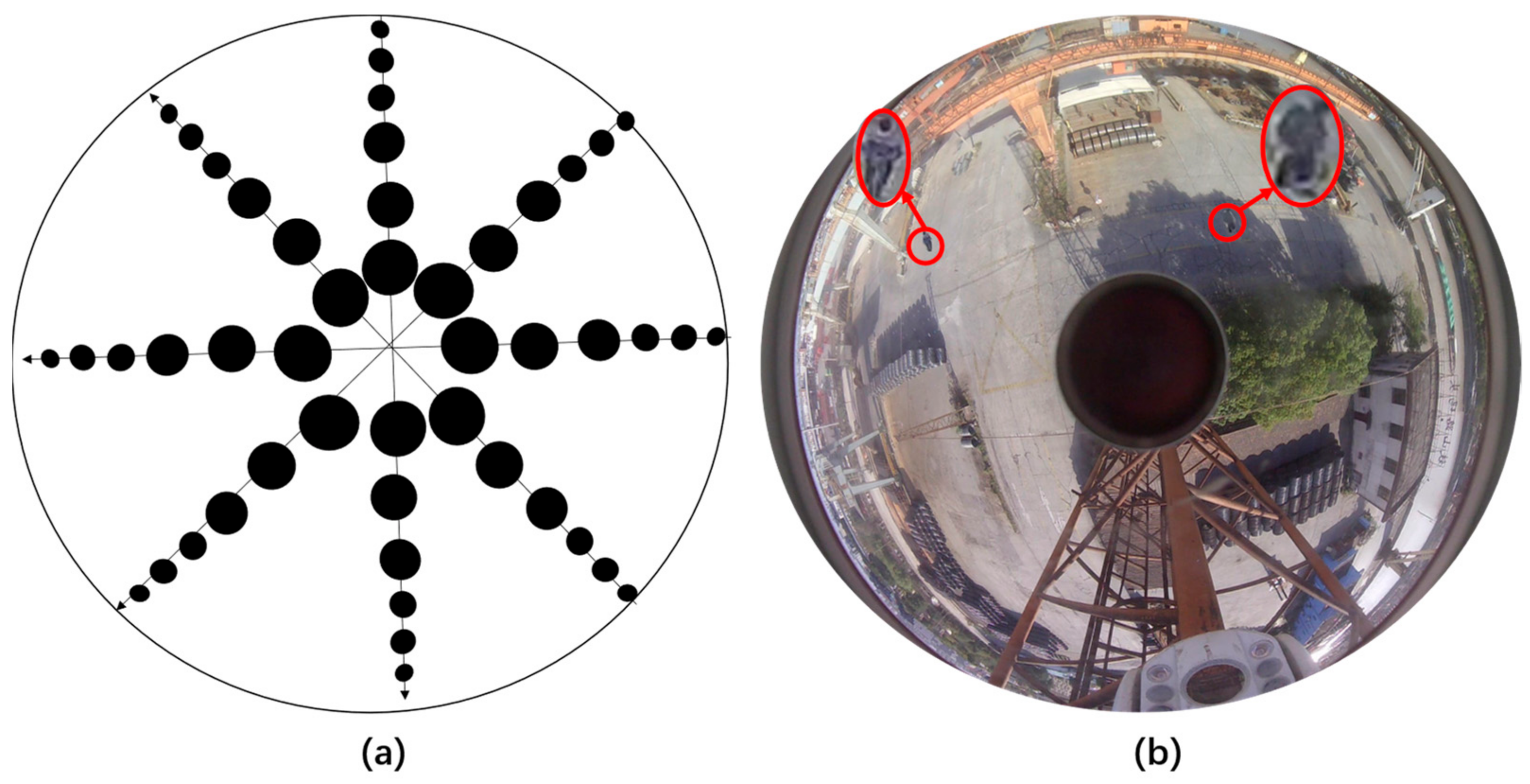 Sensors 24 00819 g010