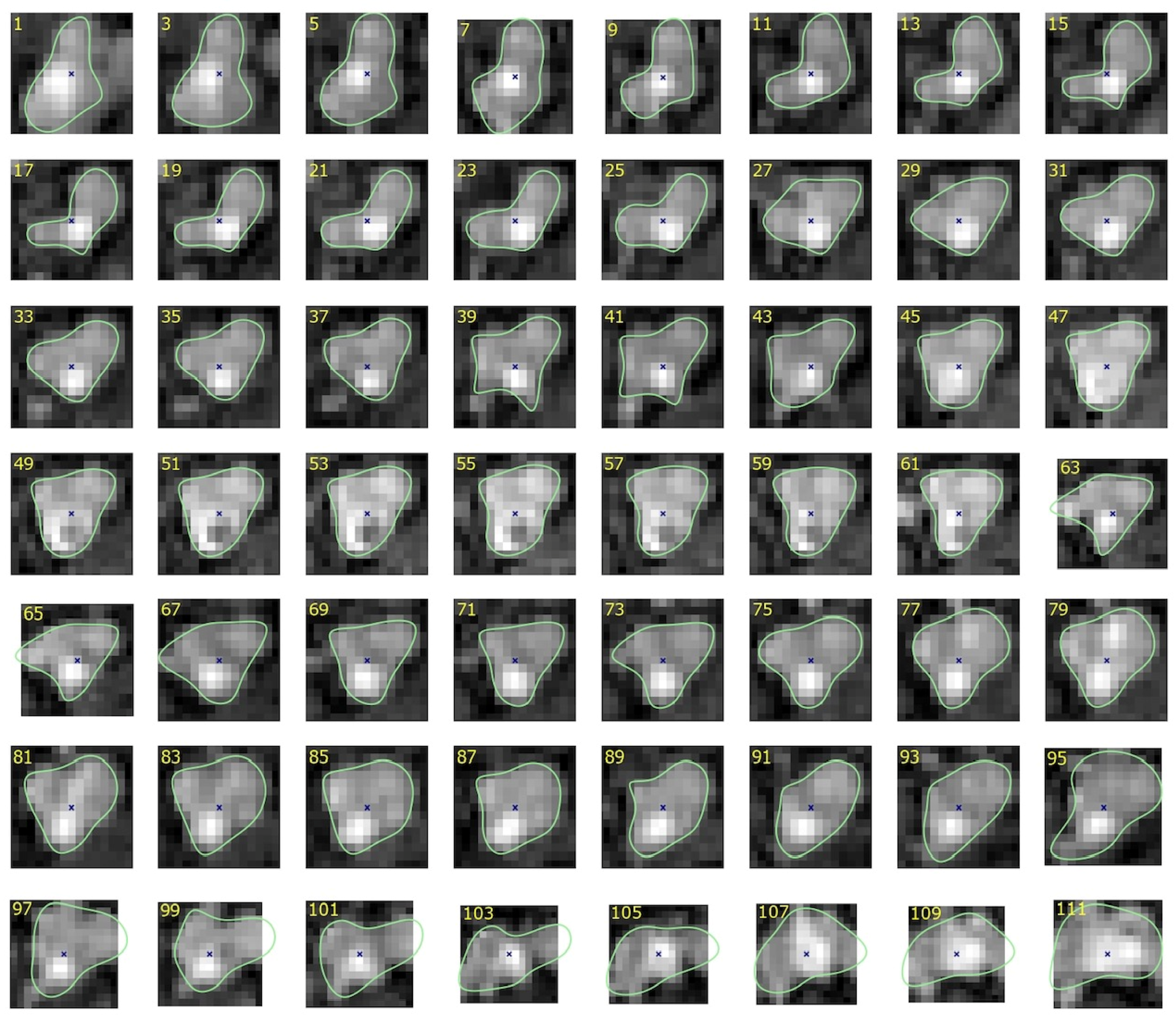 Sensors 24 00846 g009