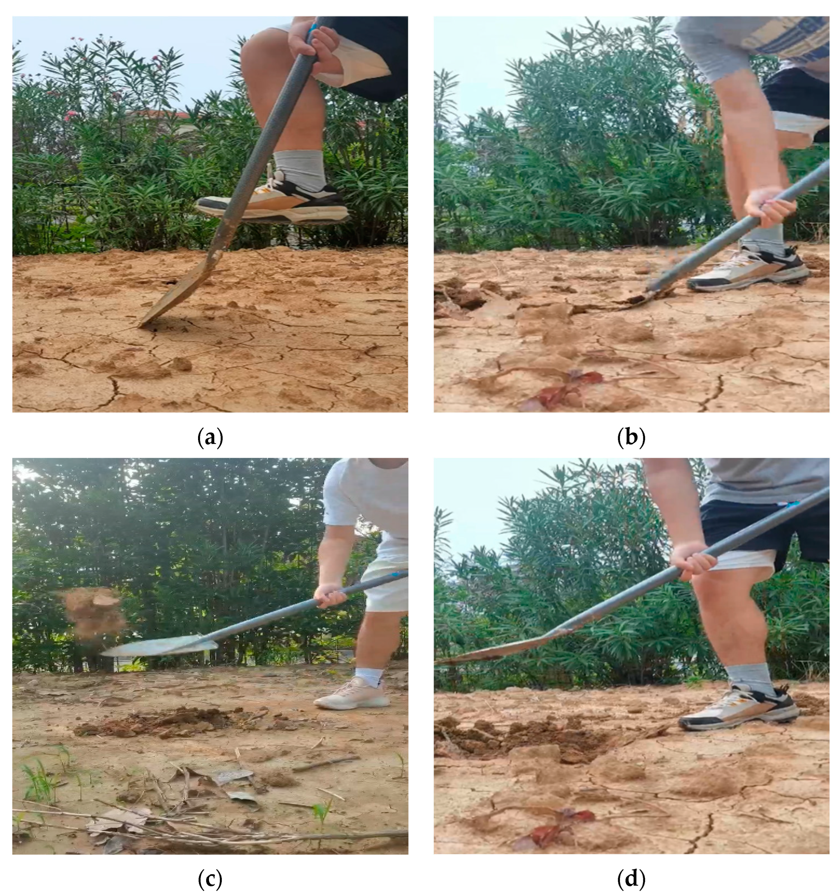 Sensors 24 00868 g001