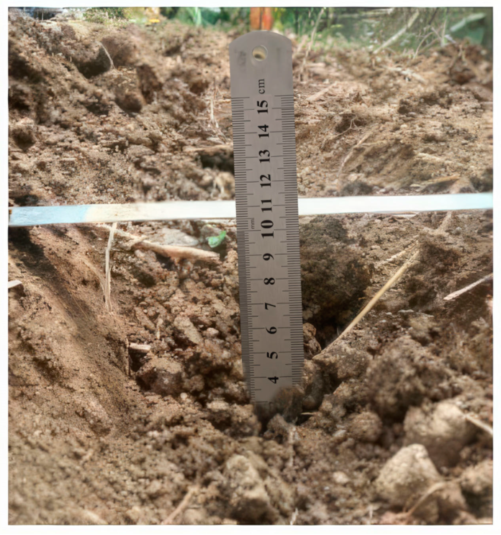 Sensors 24 00868 g034