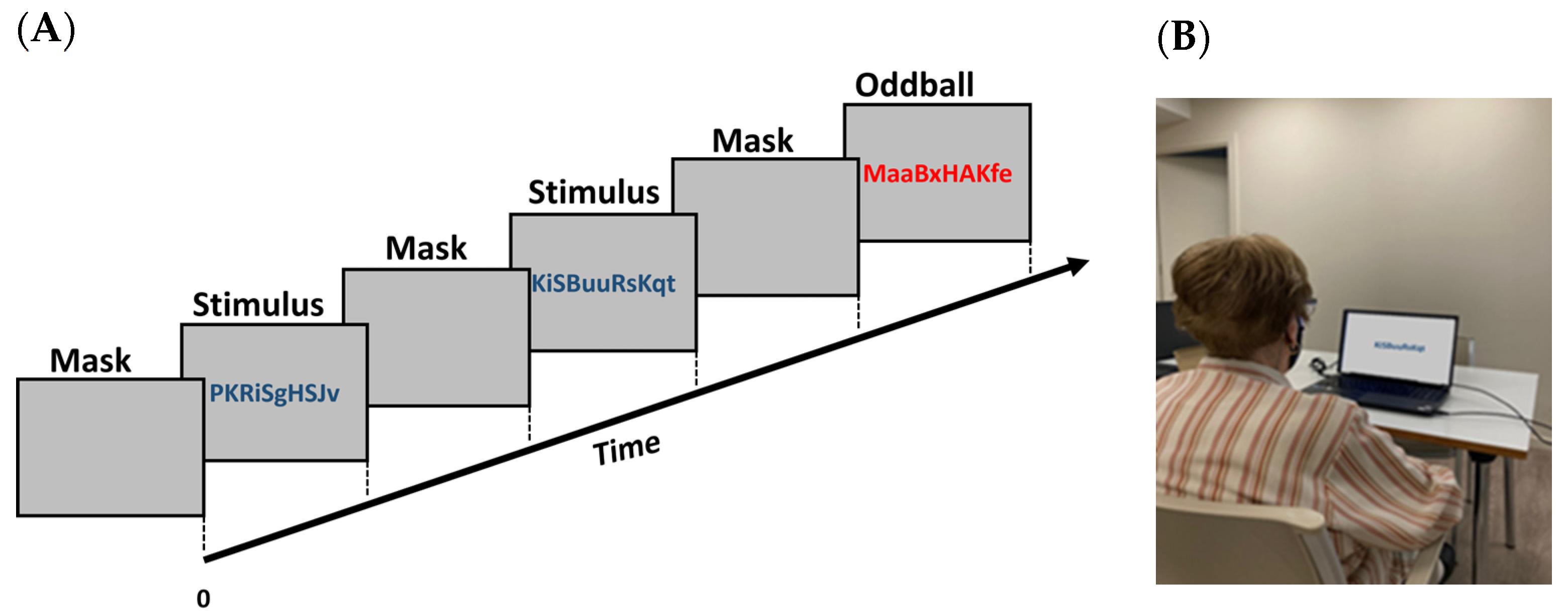 Sensors 24 00888 g001