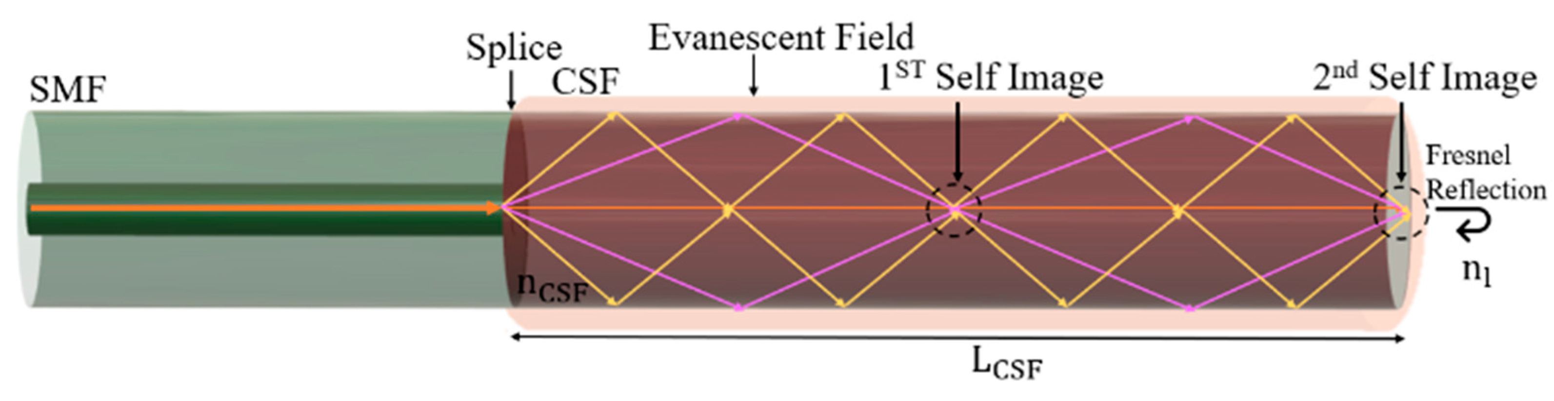 Sensors 24 00891 g001