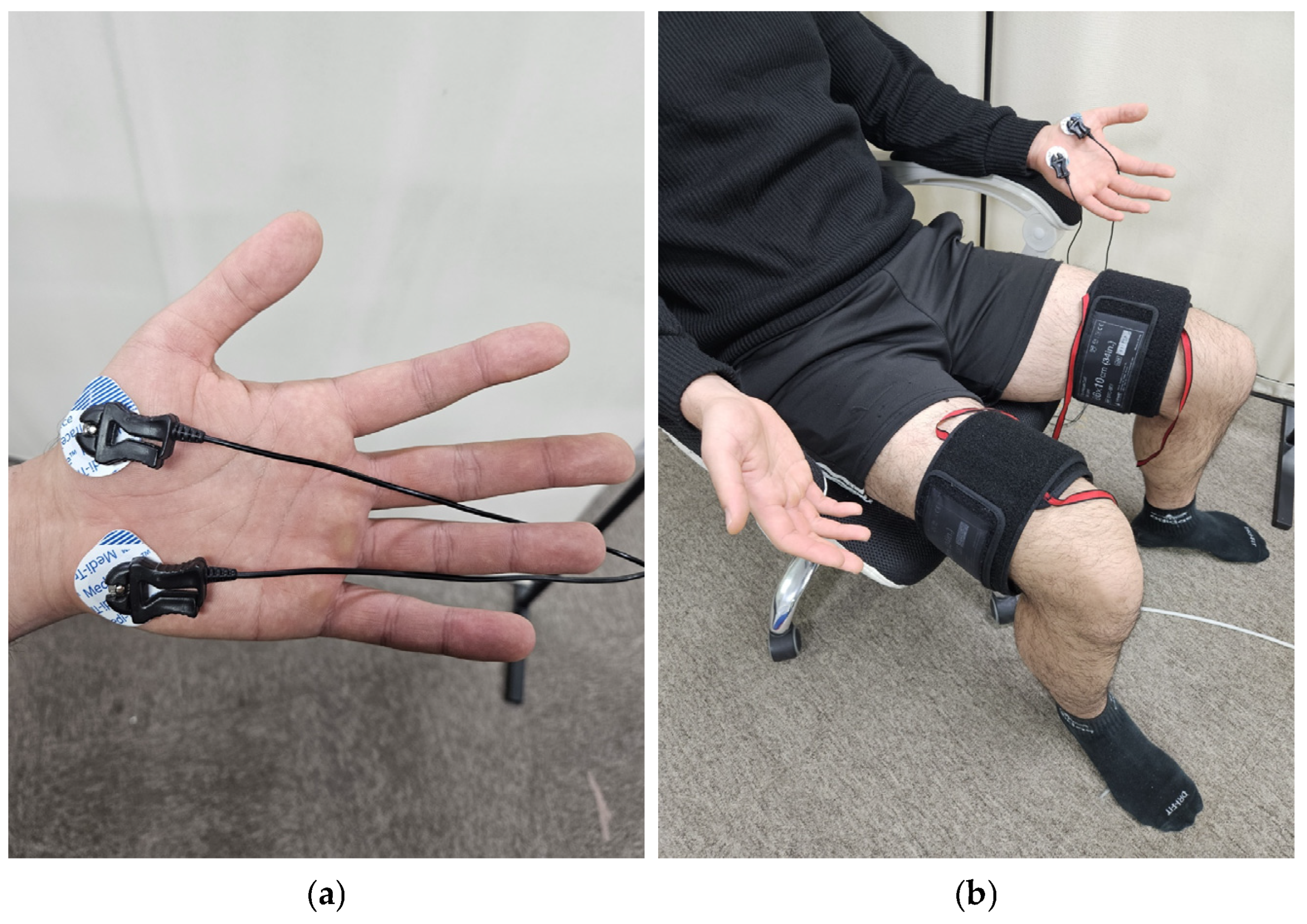 Sensors 24 00917 g001 Sensors 24 00917 g001