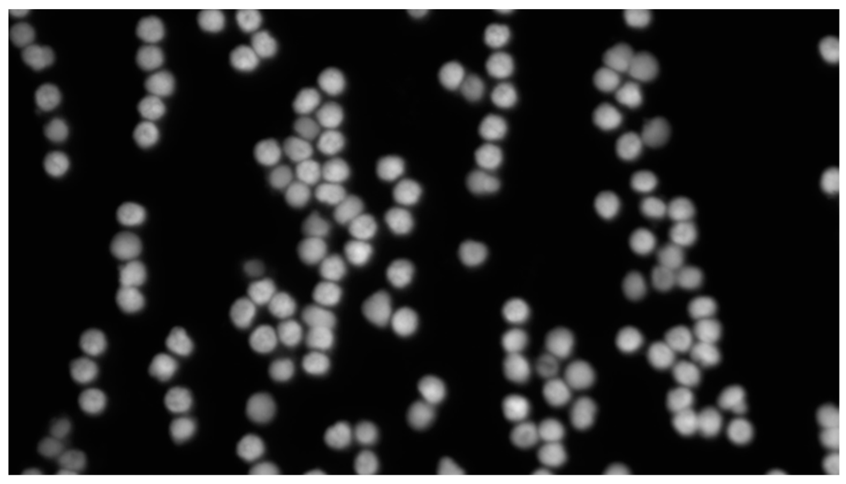 Sensors 24 00928 g001