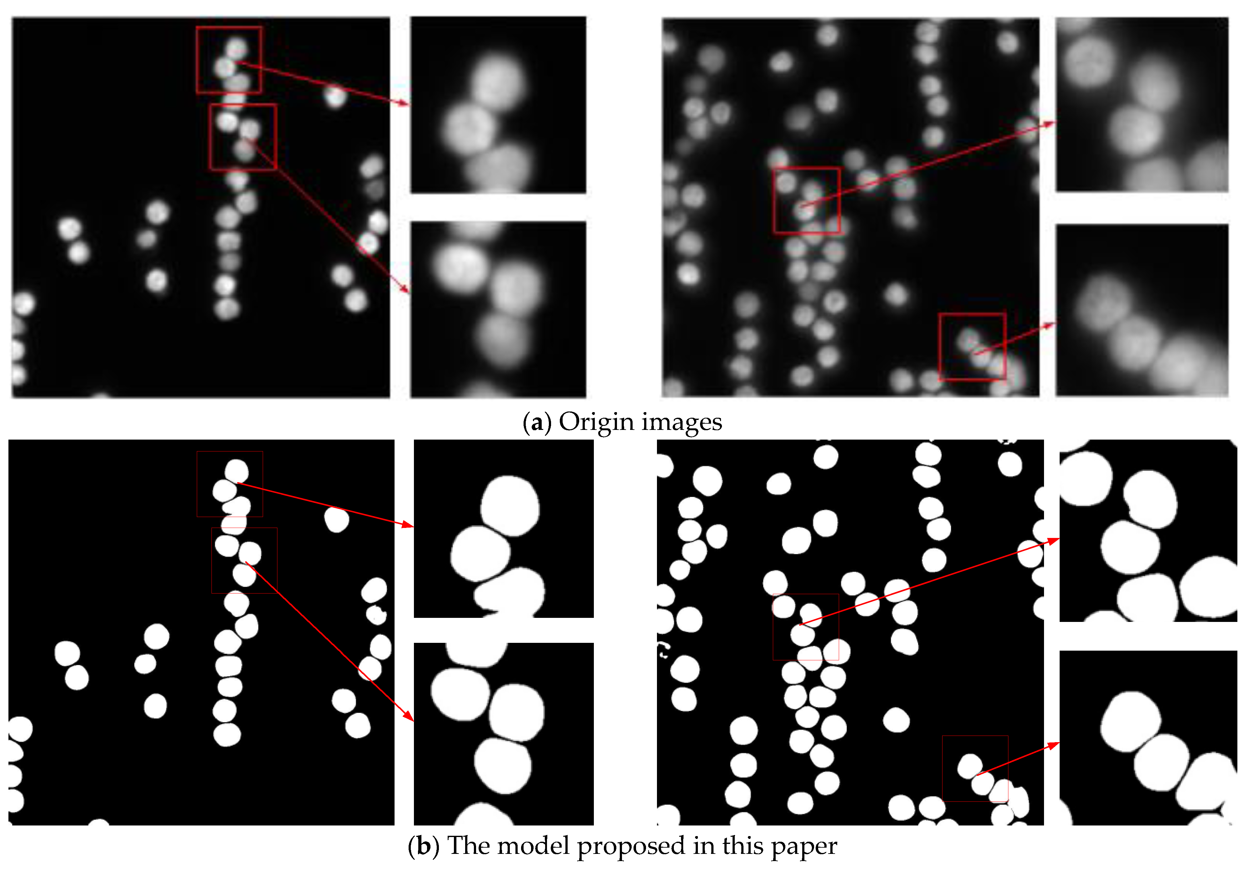 Sensors 24 00928 g006a