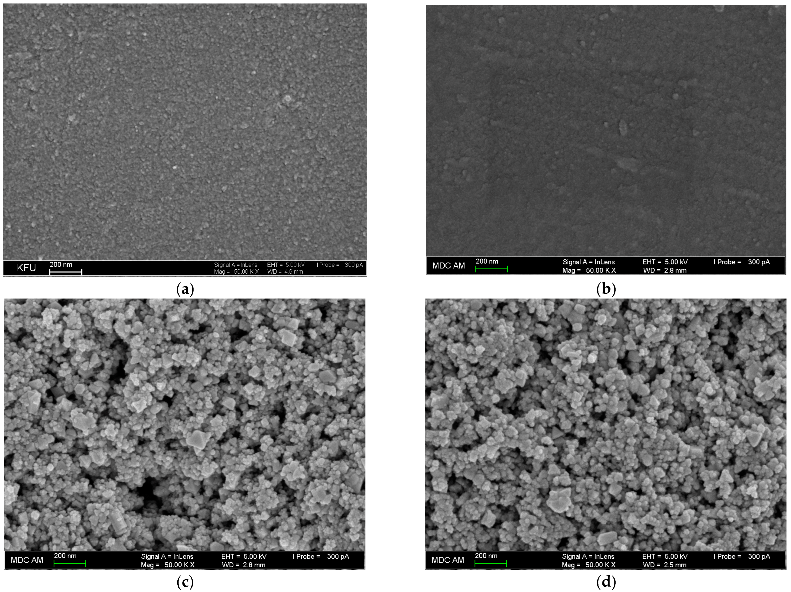 Sensors 24 00930 g004