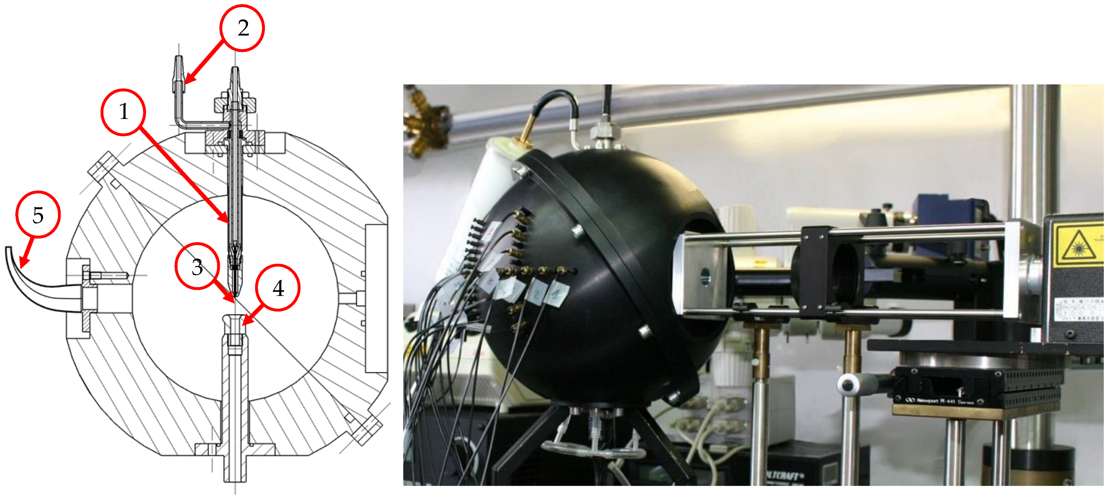 Sensors 24 00955 g004