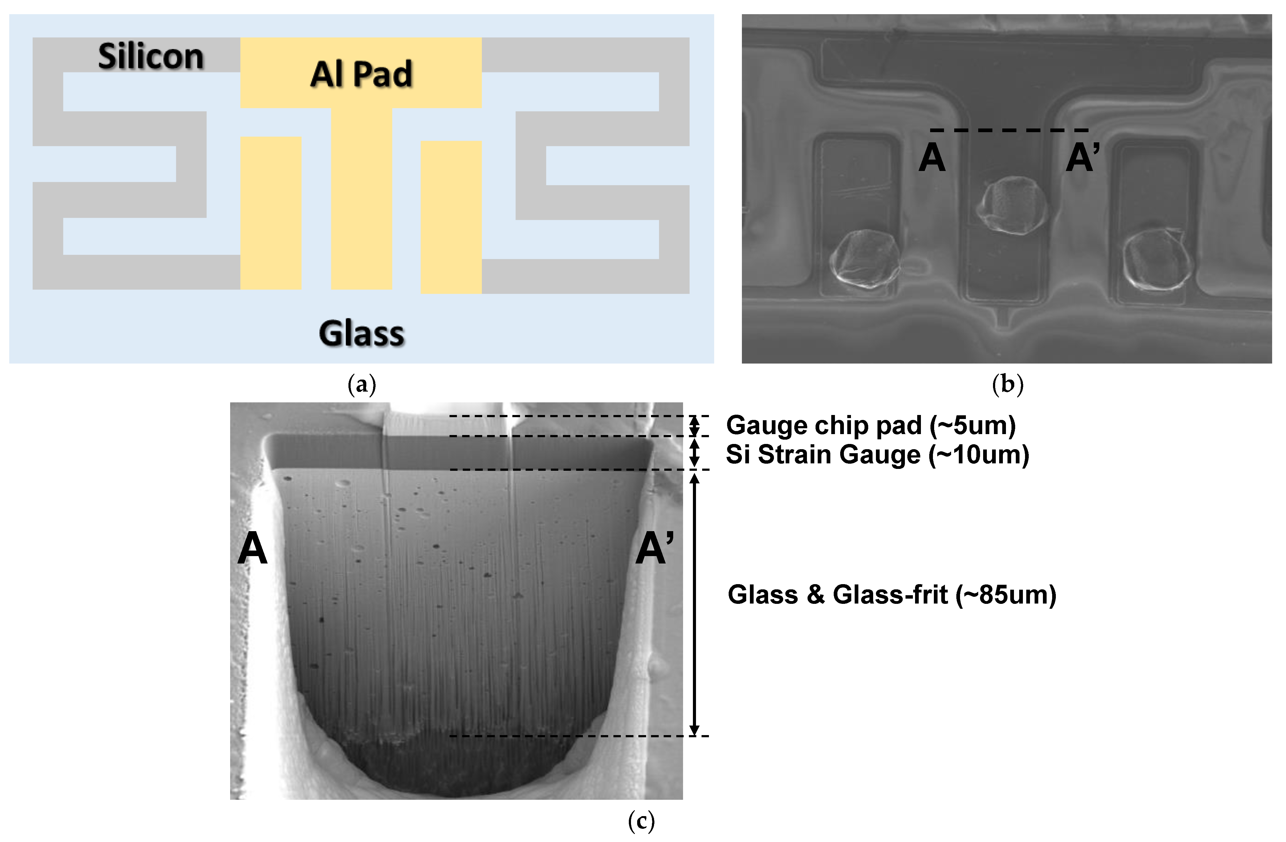 Sensors 24 00975 g003