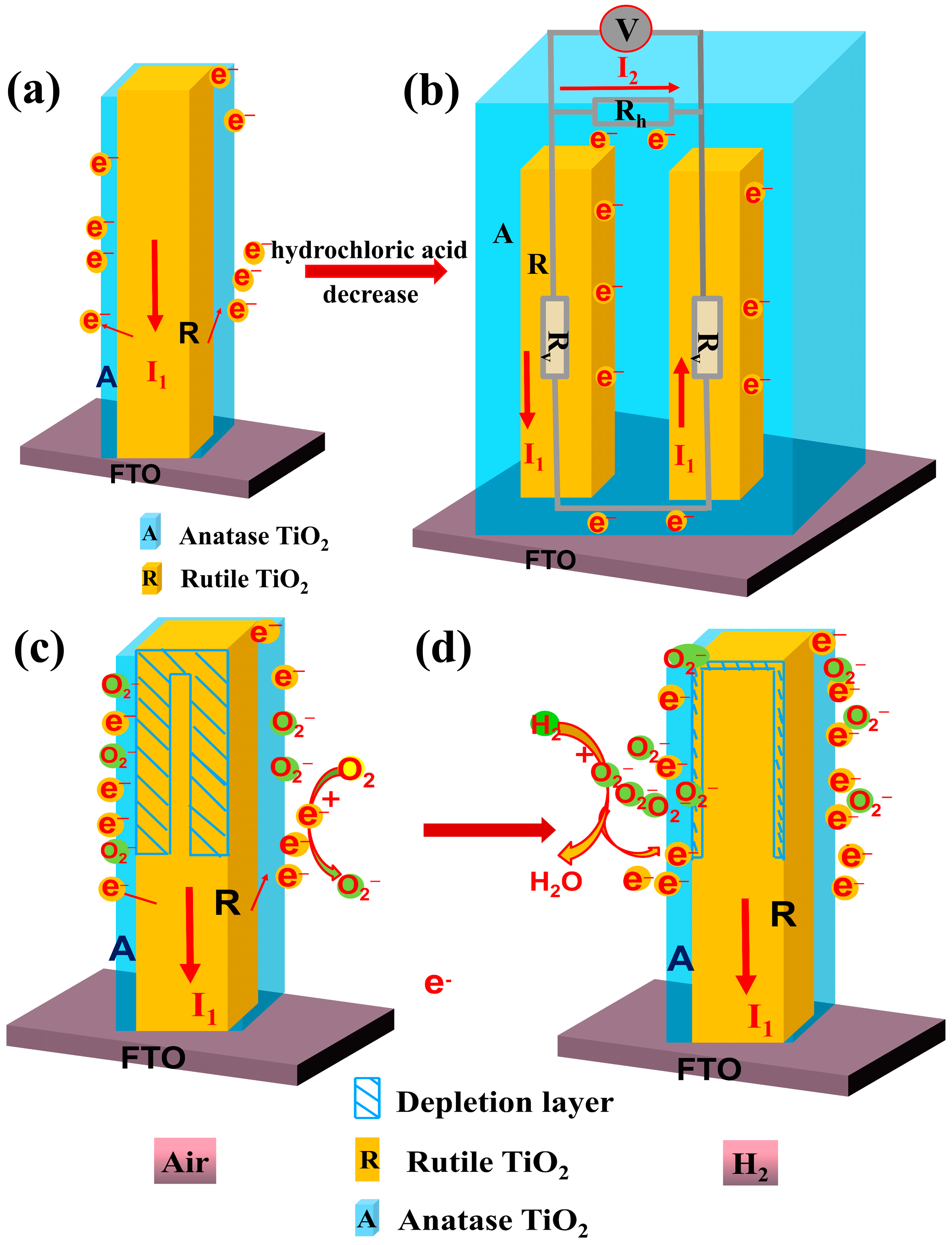Sensors 24 00978 g008