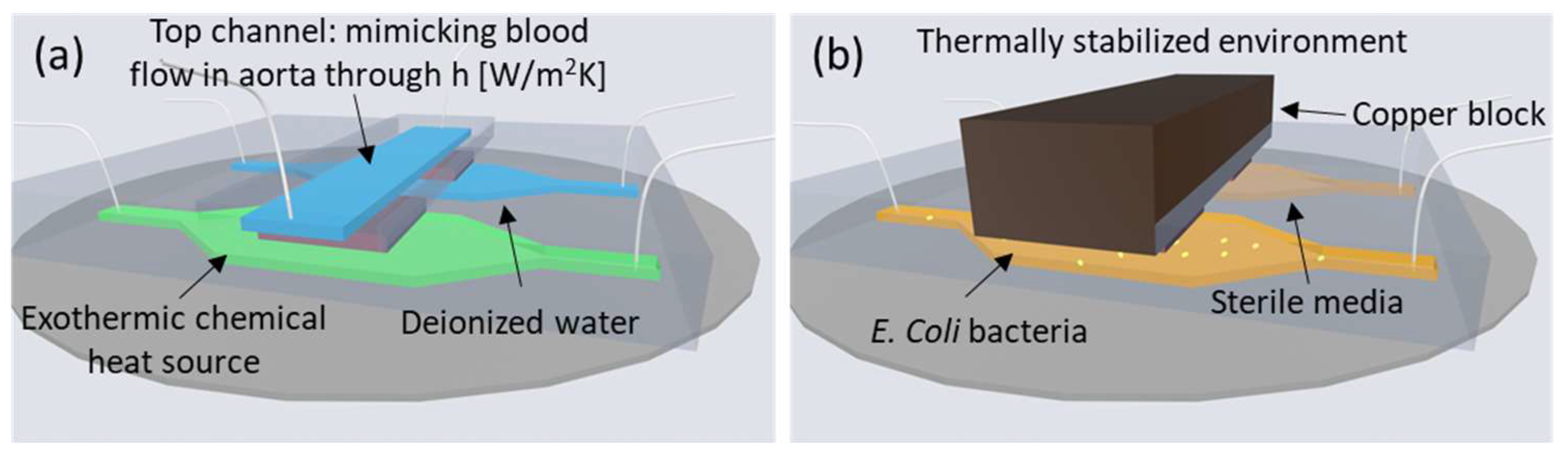 Sensors 24 01019 g001