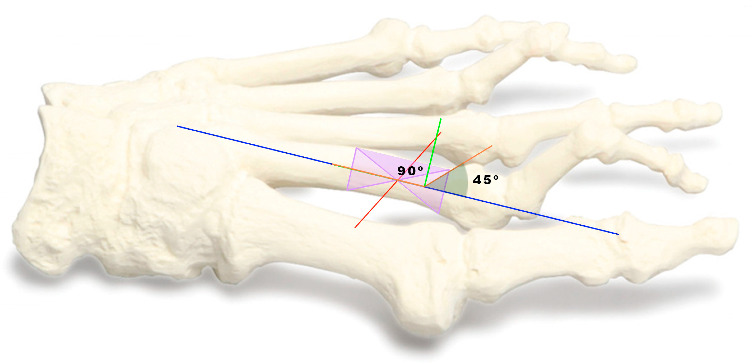 Sensors 24 01022 g003