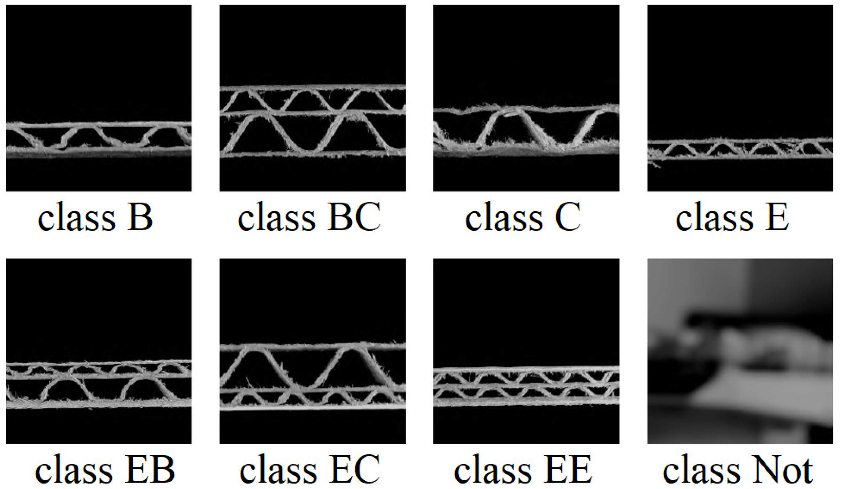 Sensors 24 01051 g005
