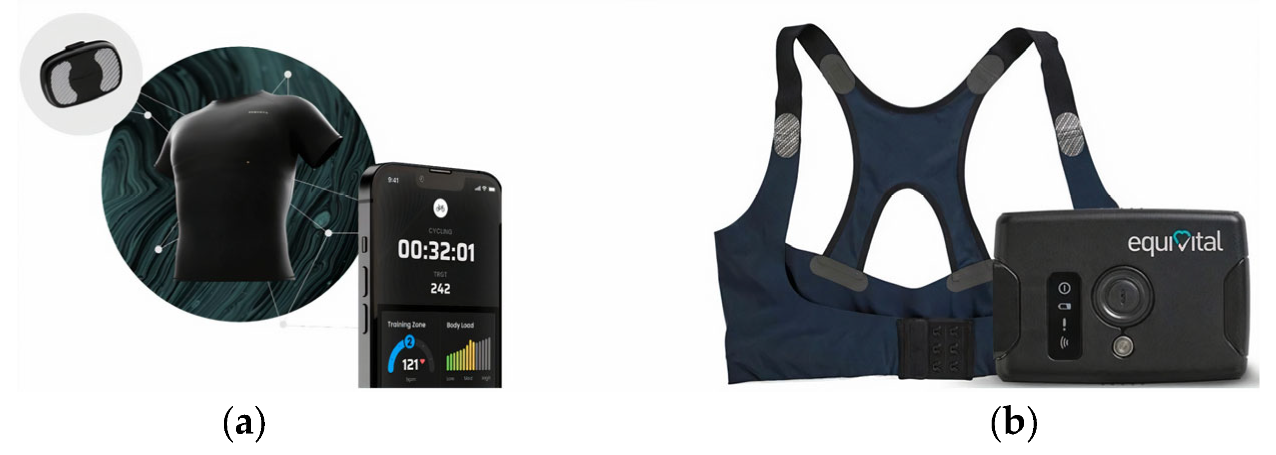 Sensors 24 01058 g001