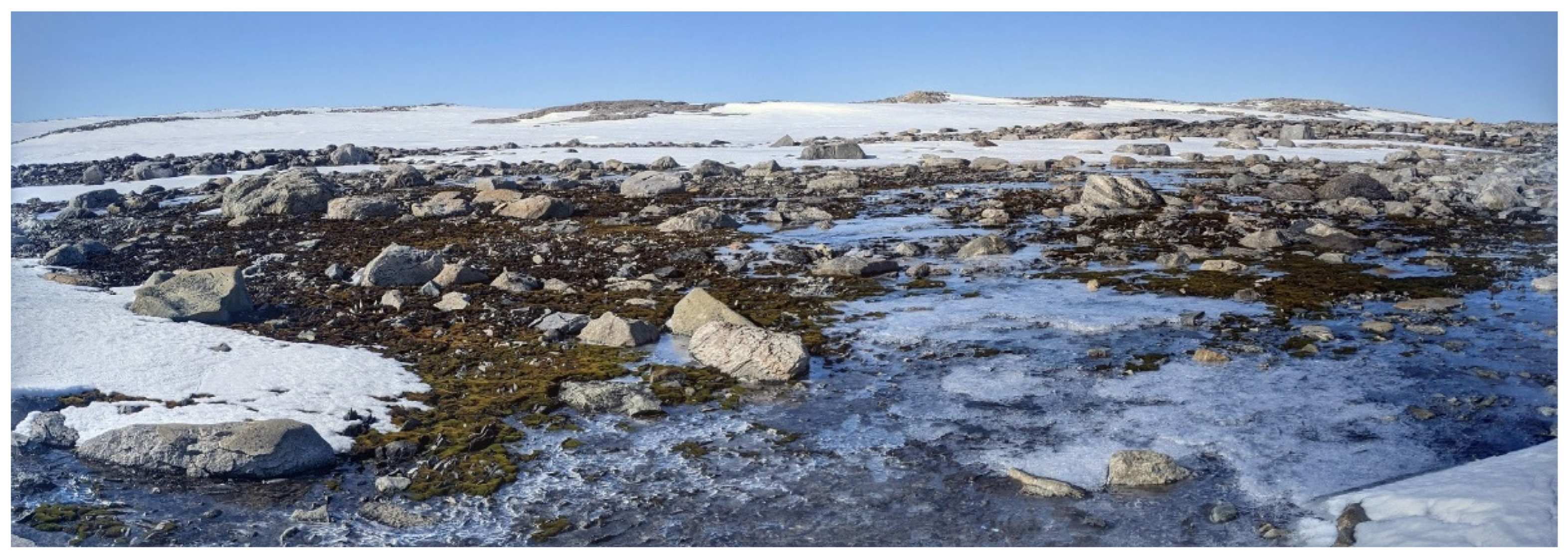 Sensors 24 01063 g003