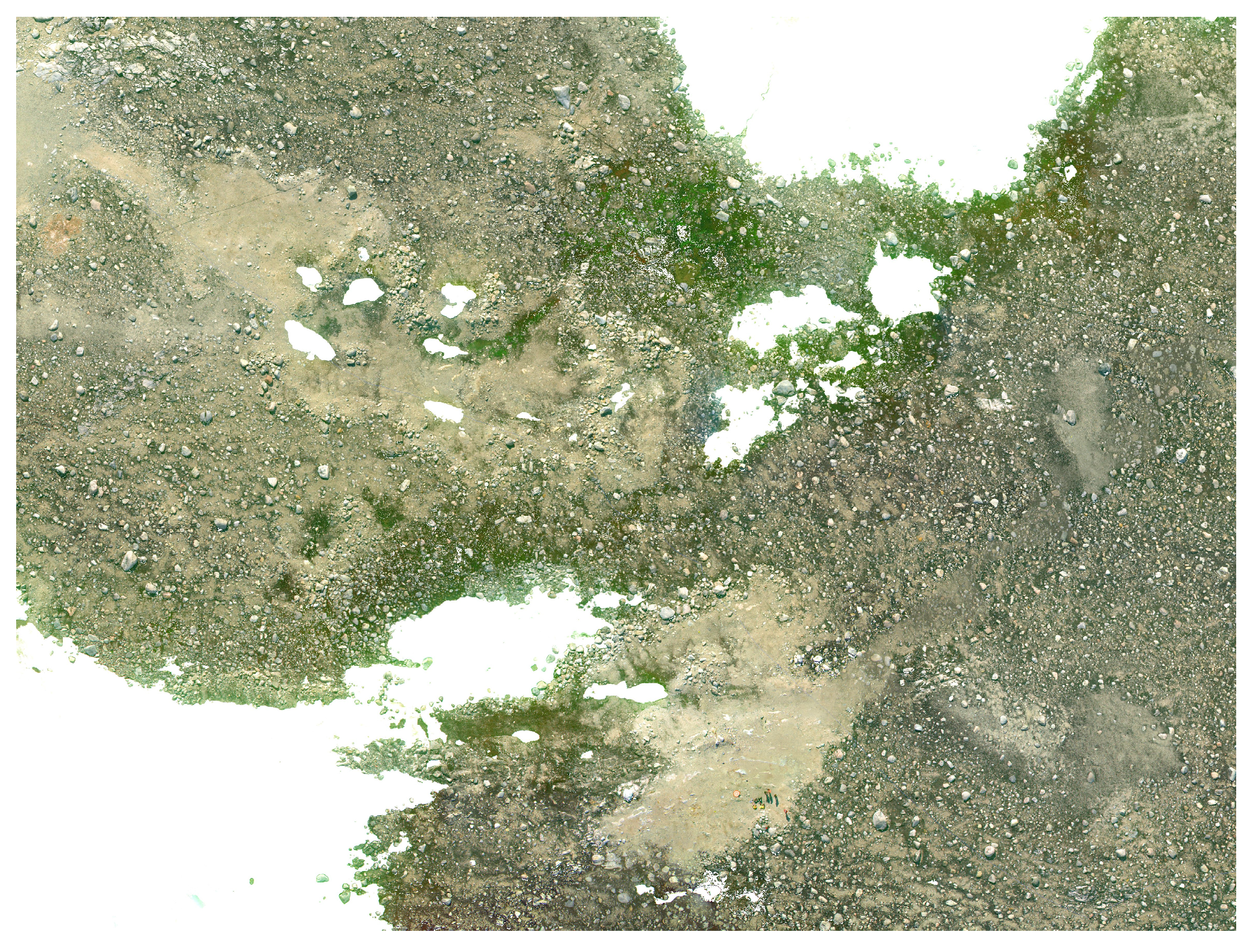 Sensors 24 01063 g006