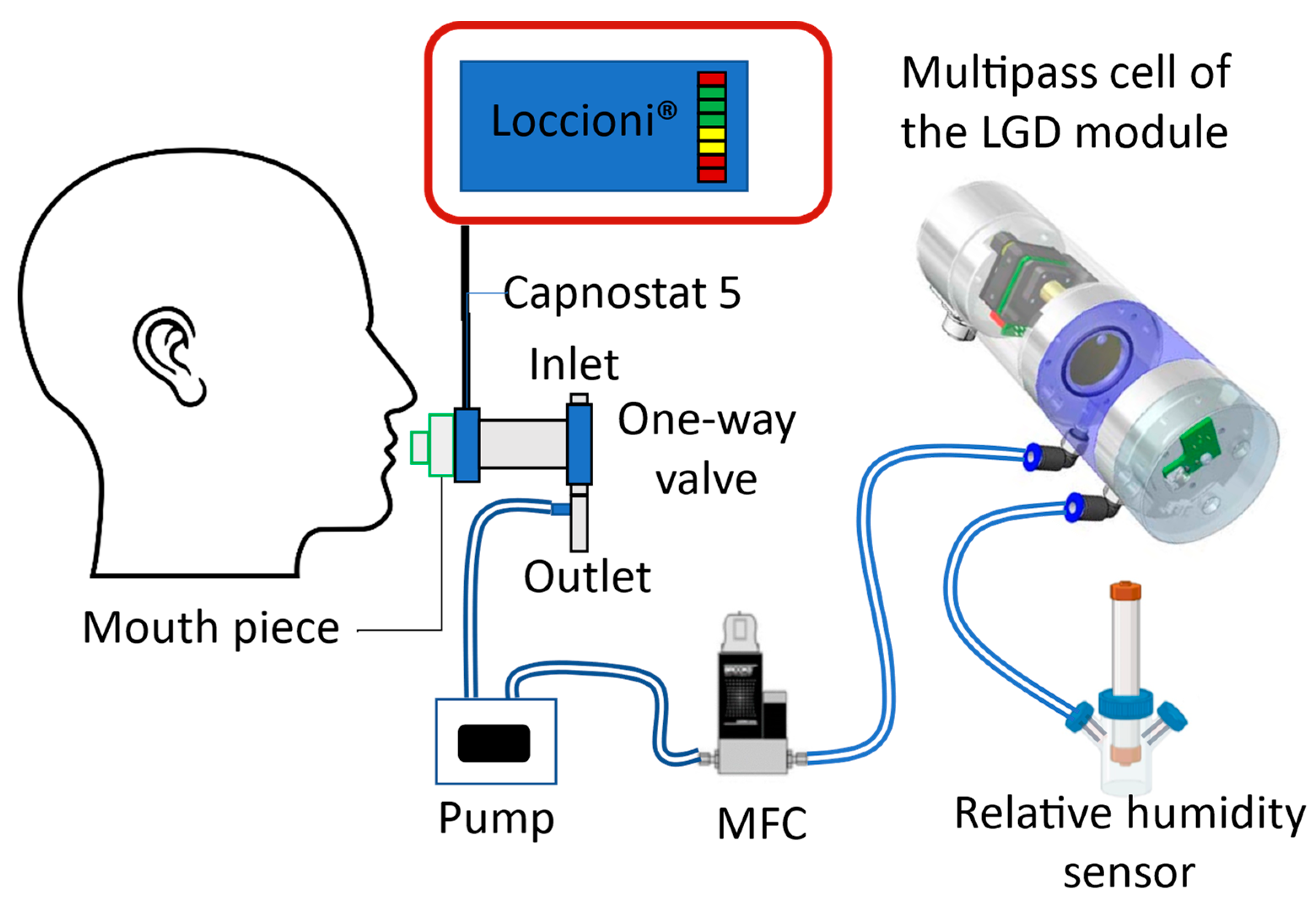 Sensors 24 01077 g002