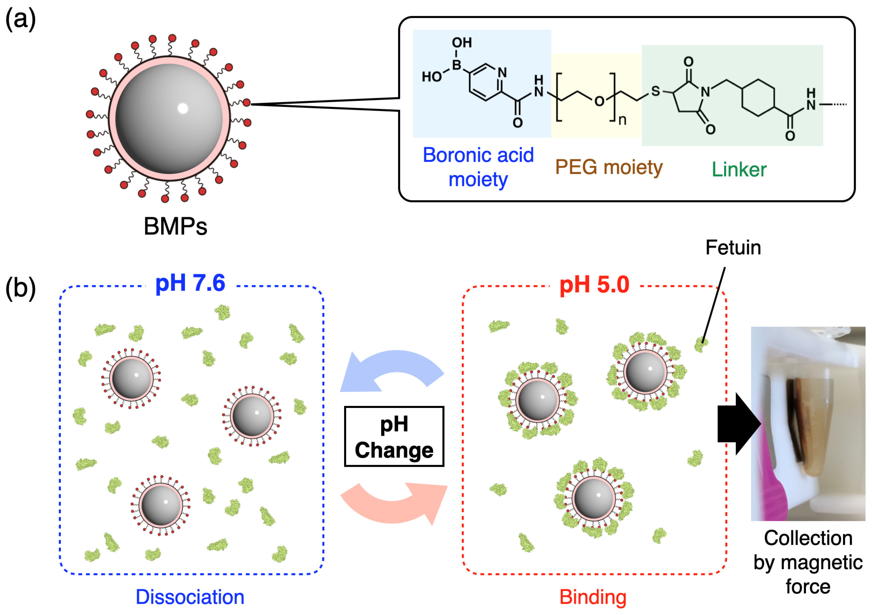 Sensors 24 01080 g001 Sensors 24 01080 g001