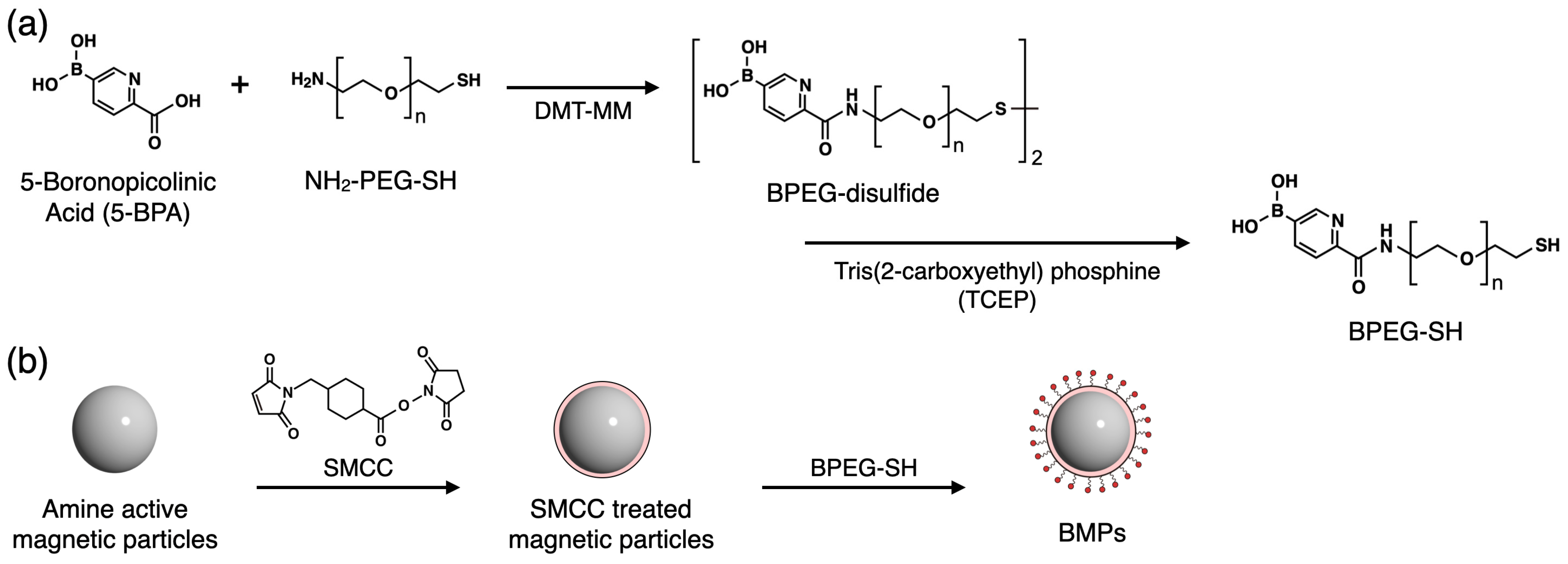 Sensors 24 01080 g002 Sensors 24 01080 g002