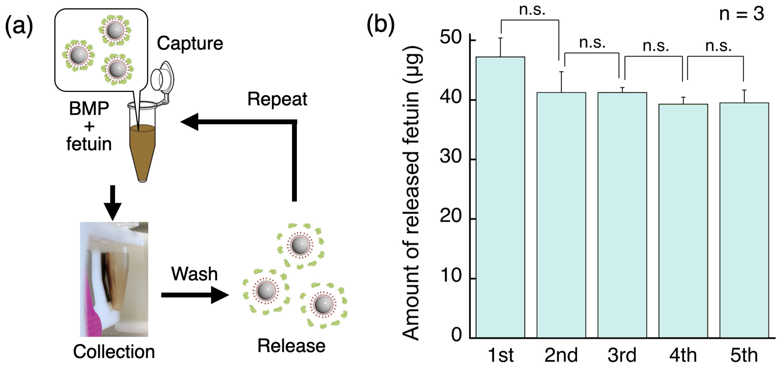 Sensors 24 01080 g005 Sensors 24 01080 g005