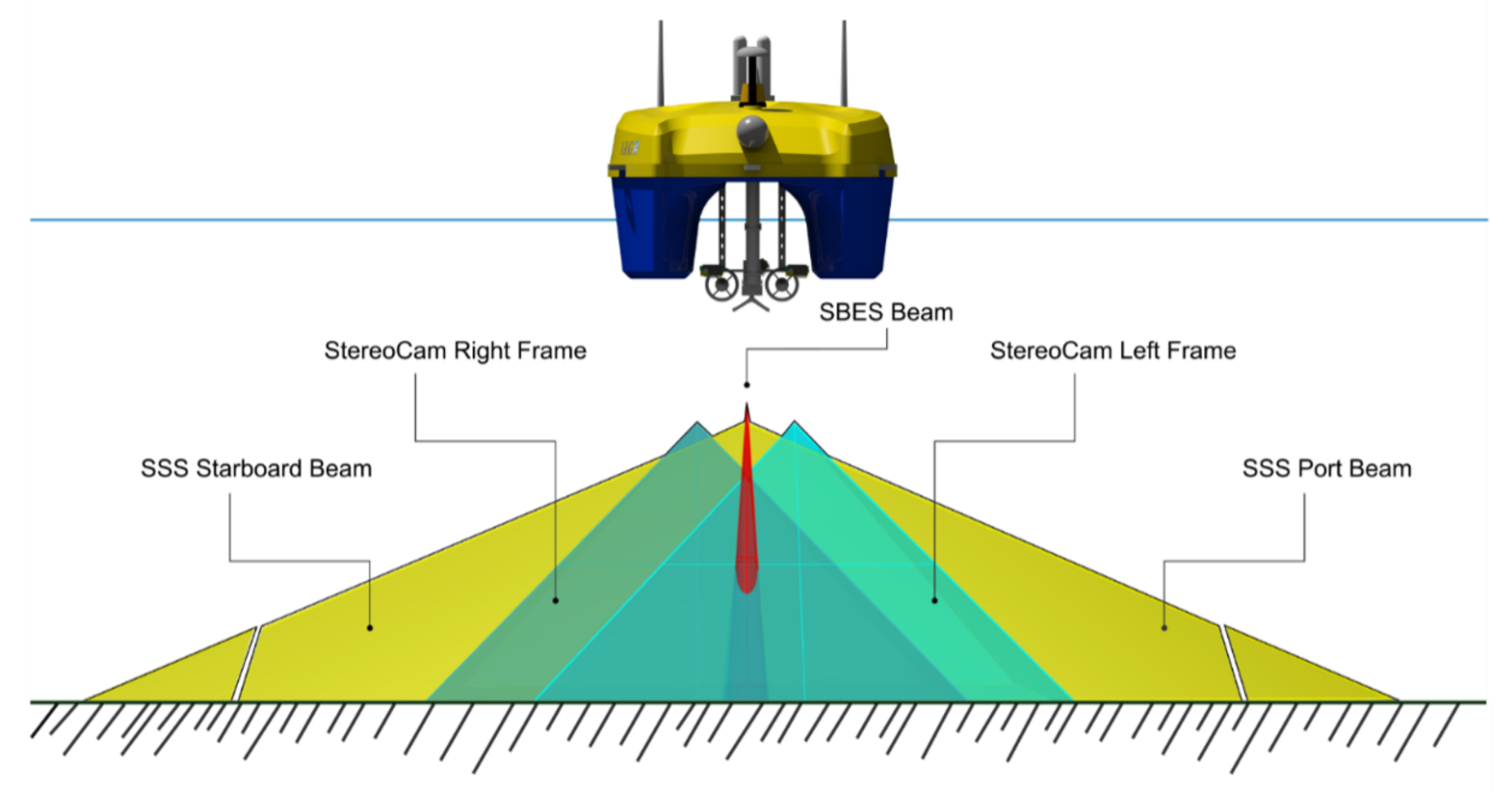 Sensors 24 01090 g003