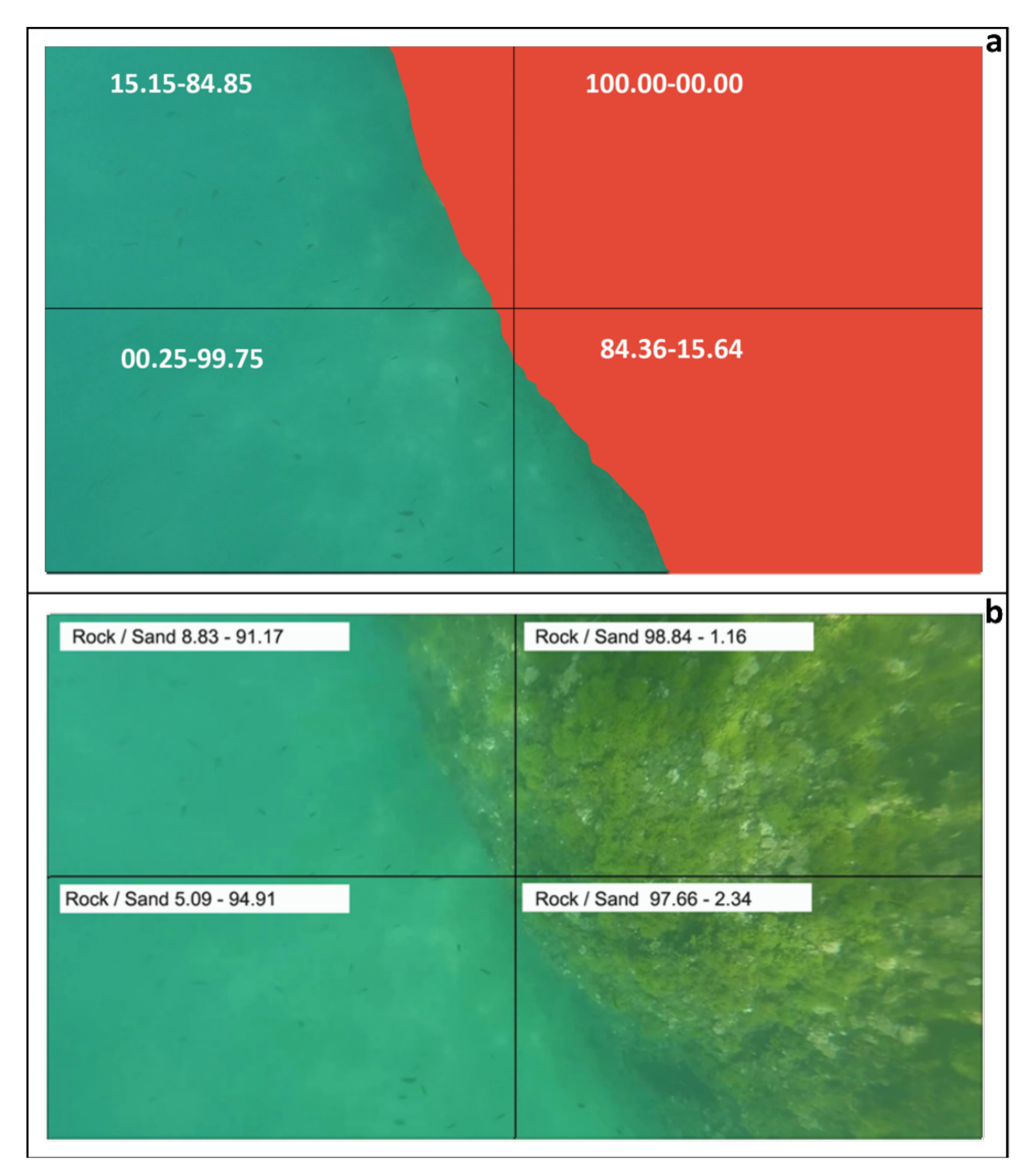 Sensors 24 01090 g005