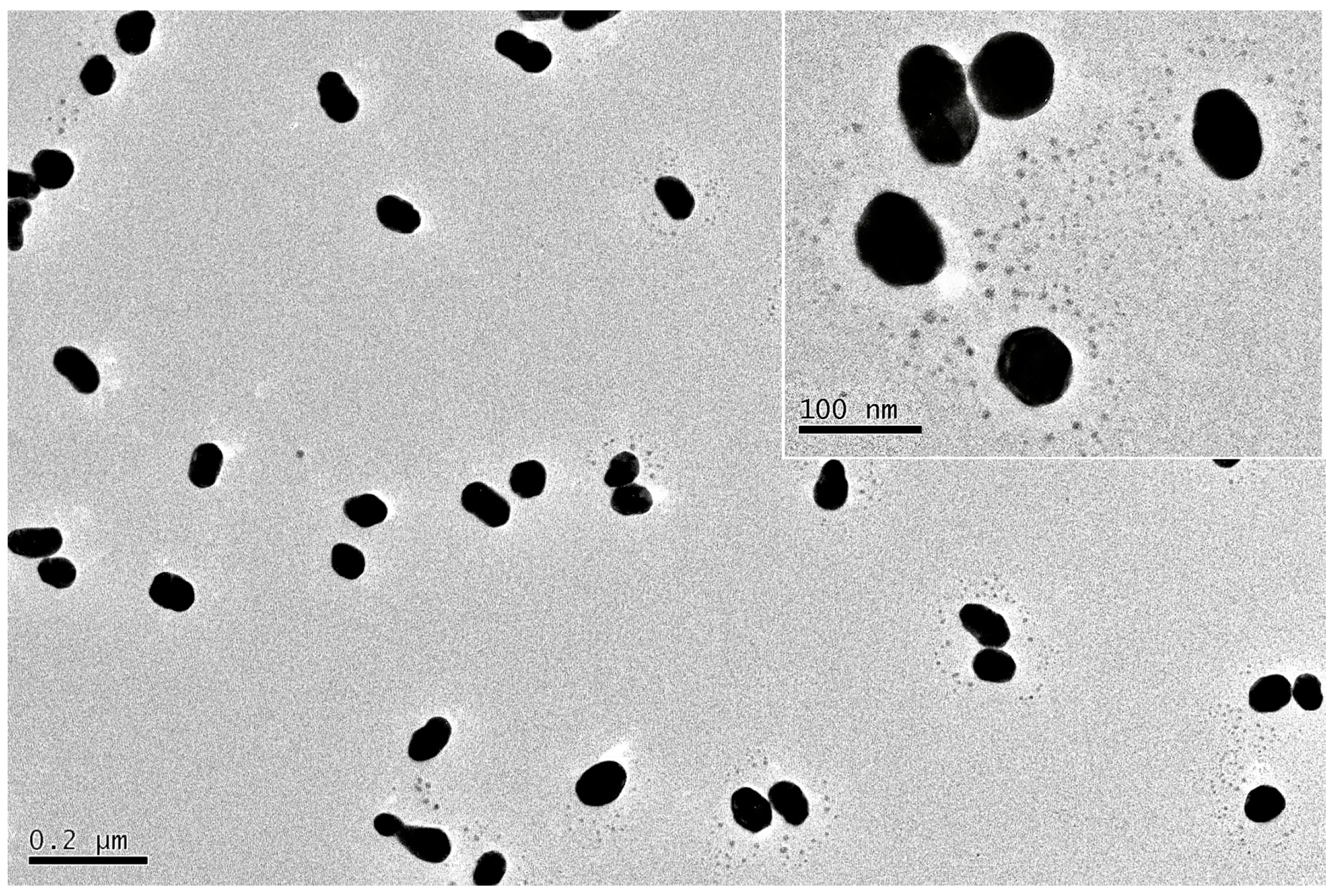 Sensors 24 01093 g004