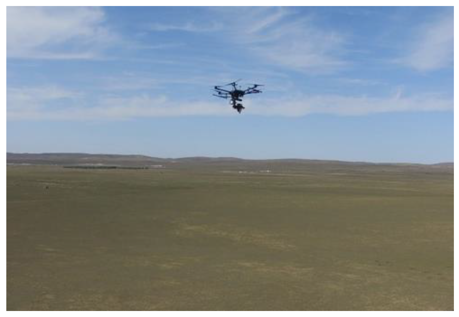 Sensors 24 01114 g003